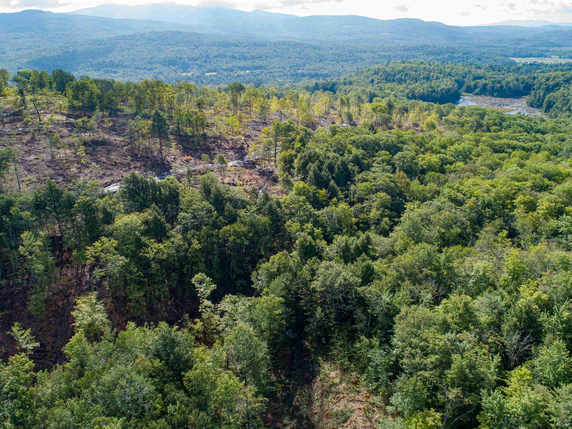 Lot 97 Fernwood Farms Road Canaan NH 03741