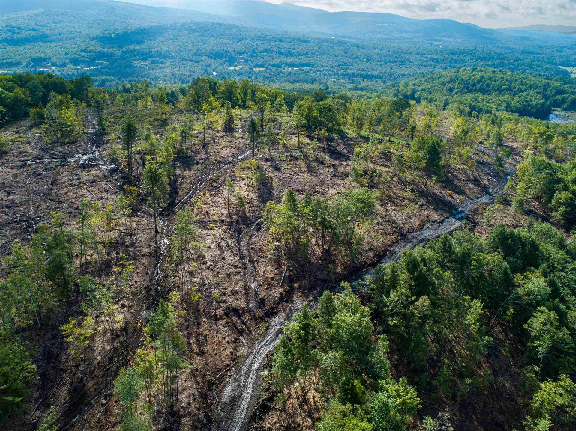 Lot 97 Fernwood Farms Road Canaan NH 03741