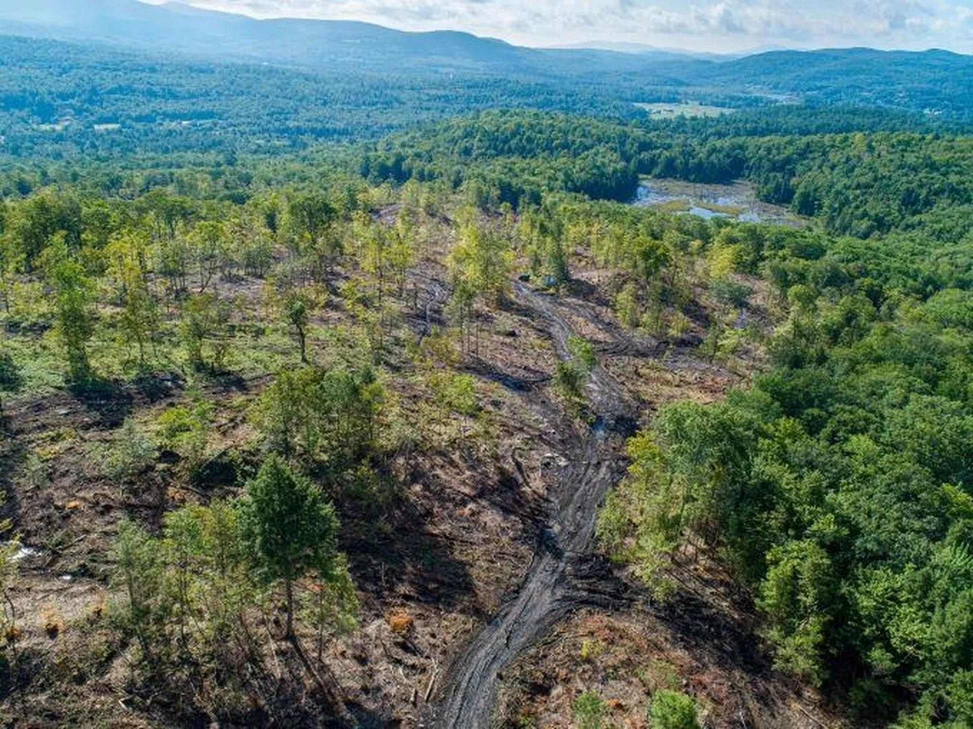 Lot 97 Fernwood Farms Road Canaan NH 03741