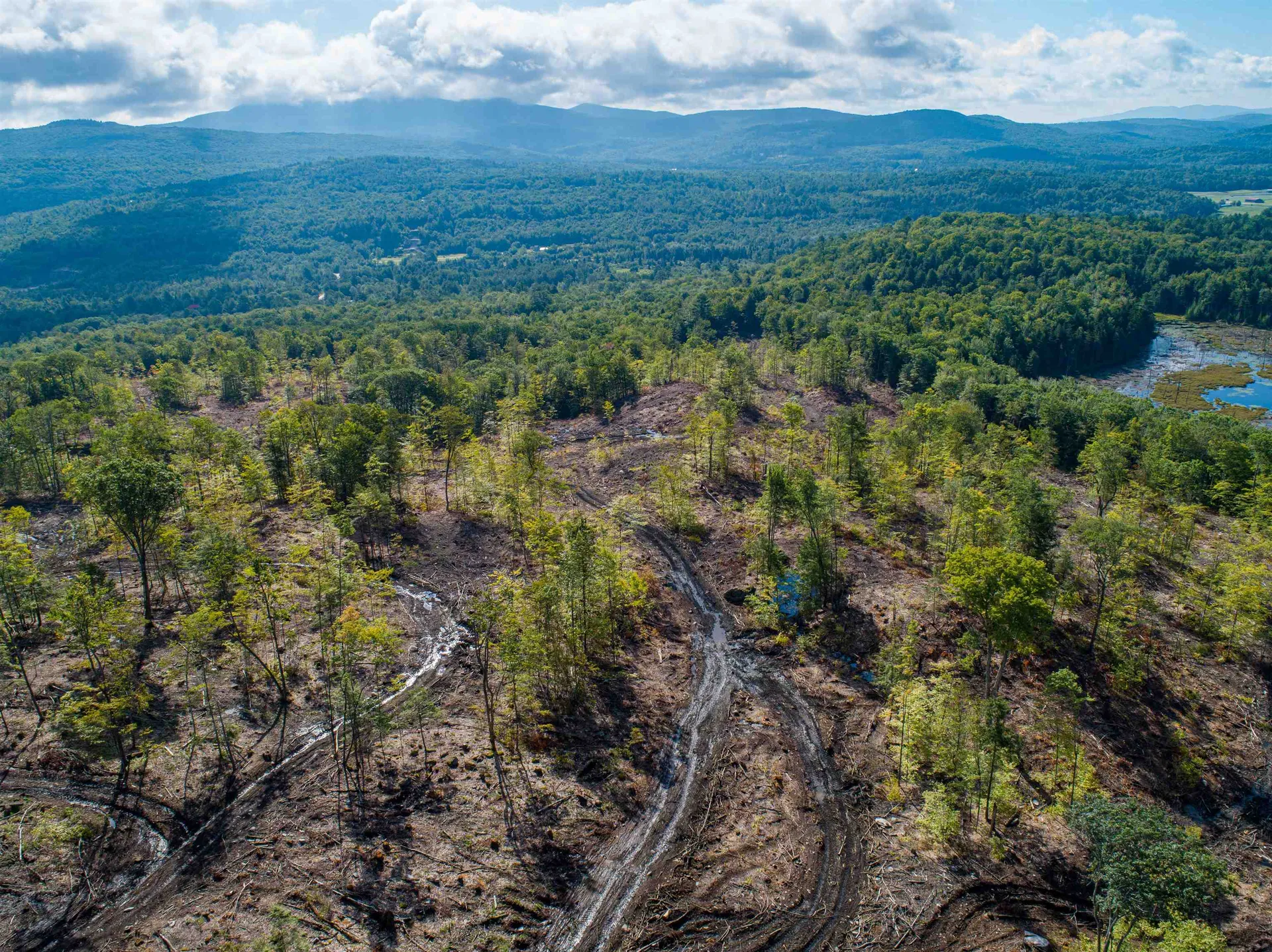 Lot 97 Fernwood Farms Road Canaan NH 03741