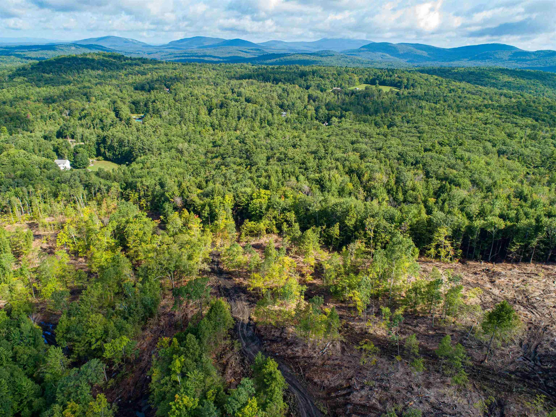 Lot 97 Fernwood Farms Road Canaan NH 03741
