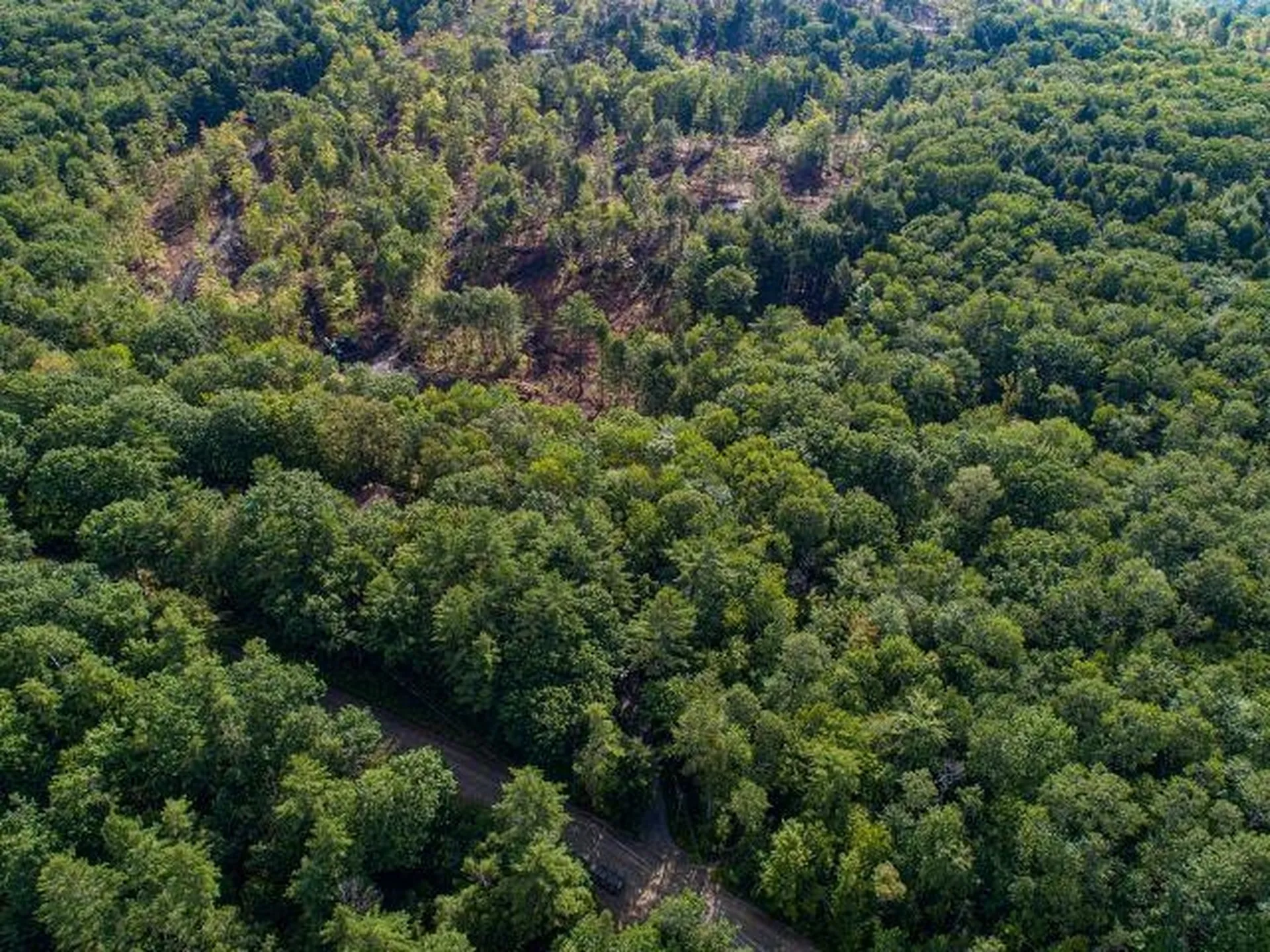 Lot 97 Fernwood Farms Road Canaan NH 03741