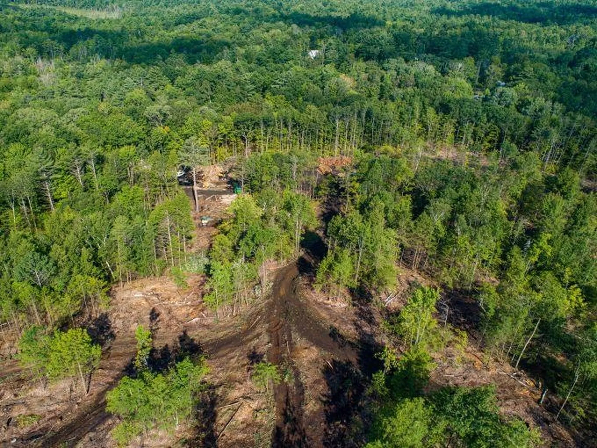 Lot 97 Fernwood Farms Road Canaan NH 03741