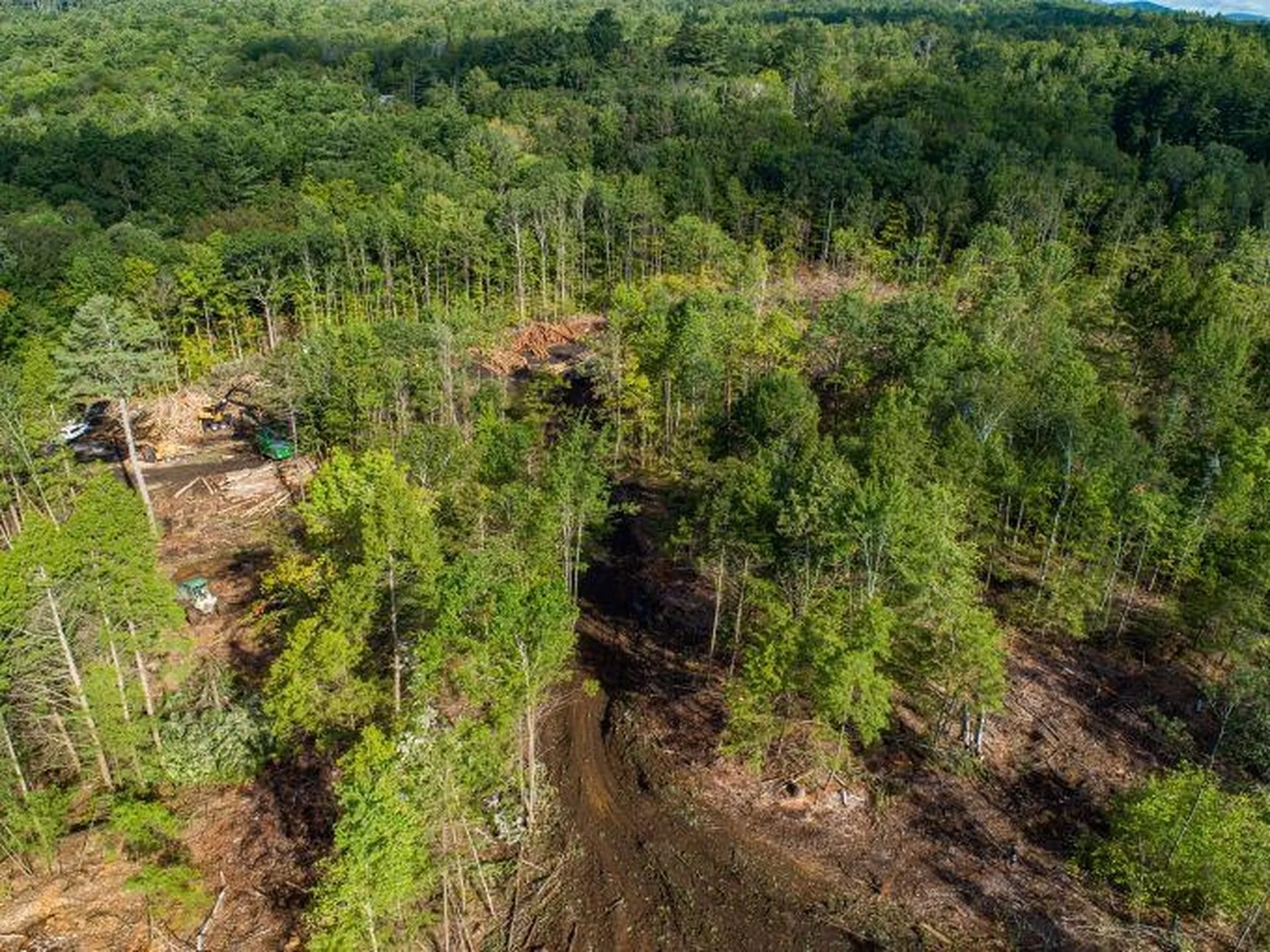 Lot 97 Fernwood Farms Road Canaan NH 03741