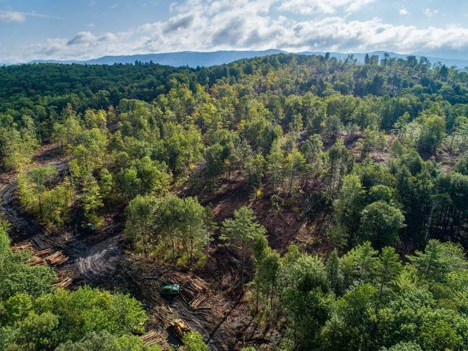 Lot 97 Fernwood Farms Road Canaan NH 03741