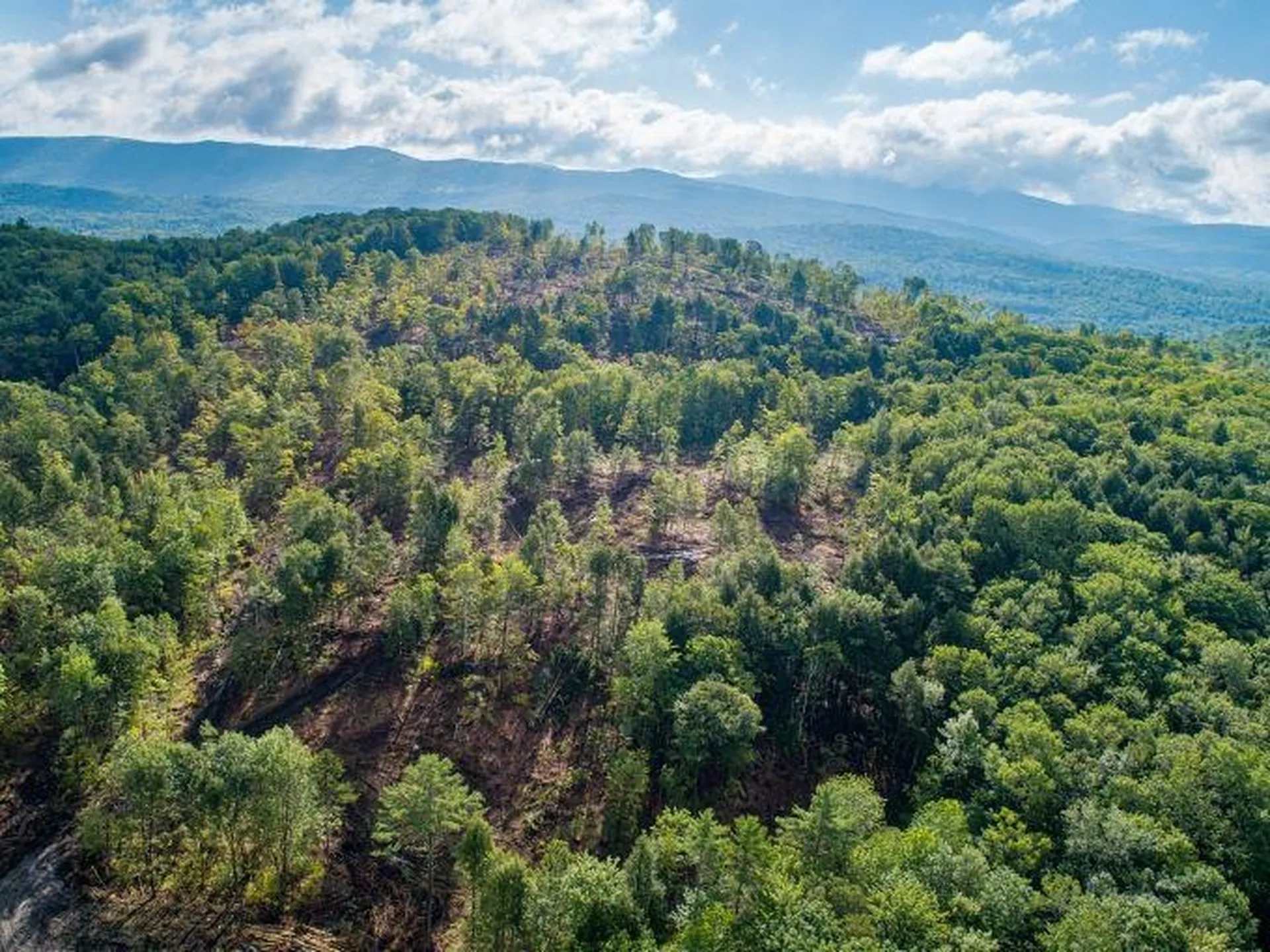 Lot 97 Fernwood Farms Road Canaan NH 03741