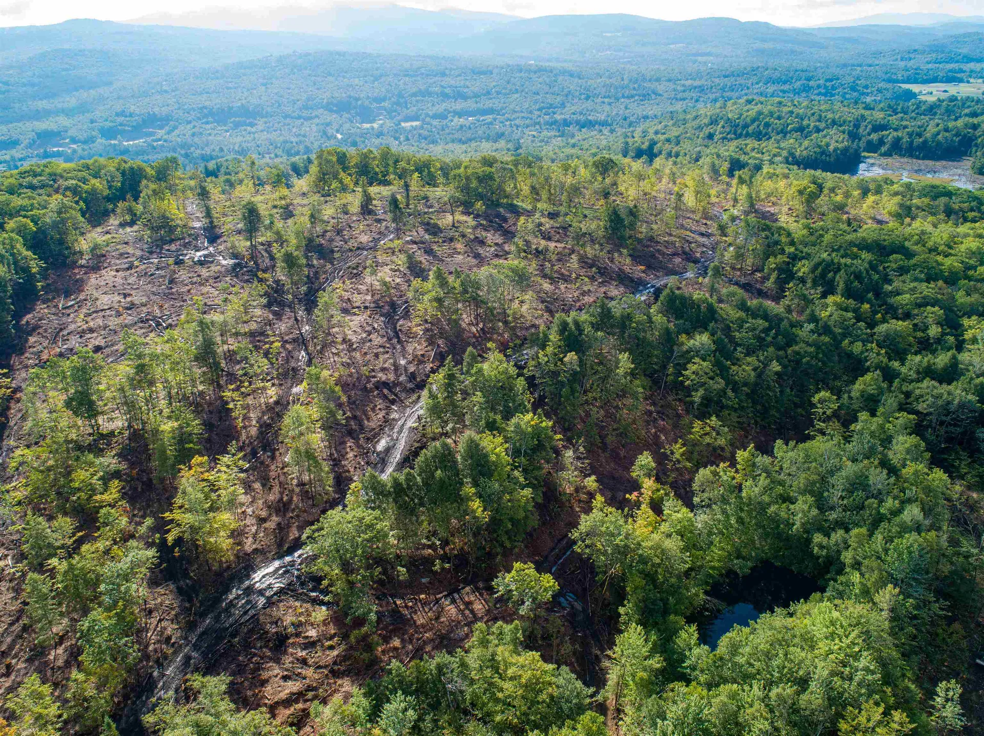 Lot 97 Fernwood Farms Road Canaan NH 03741