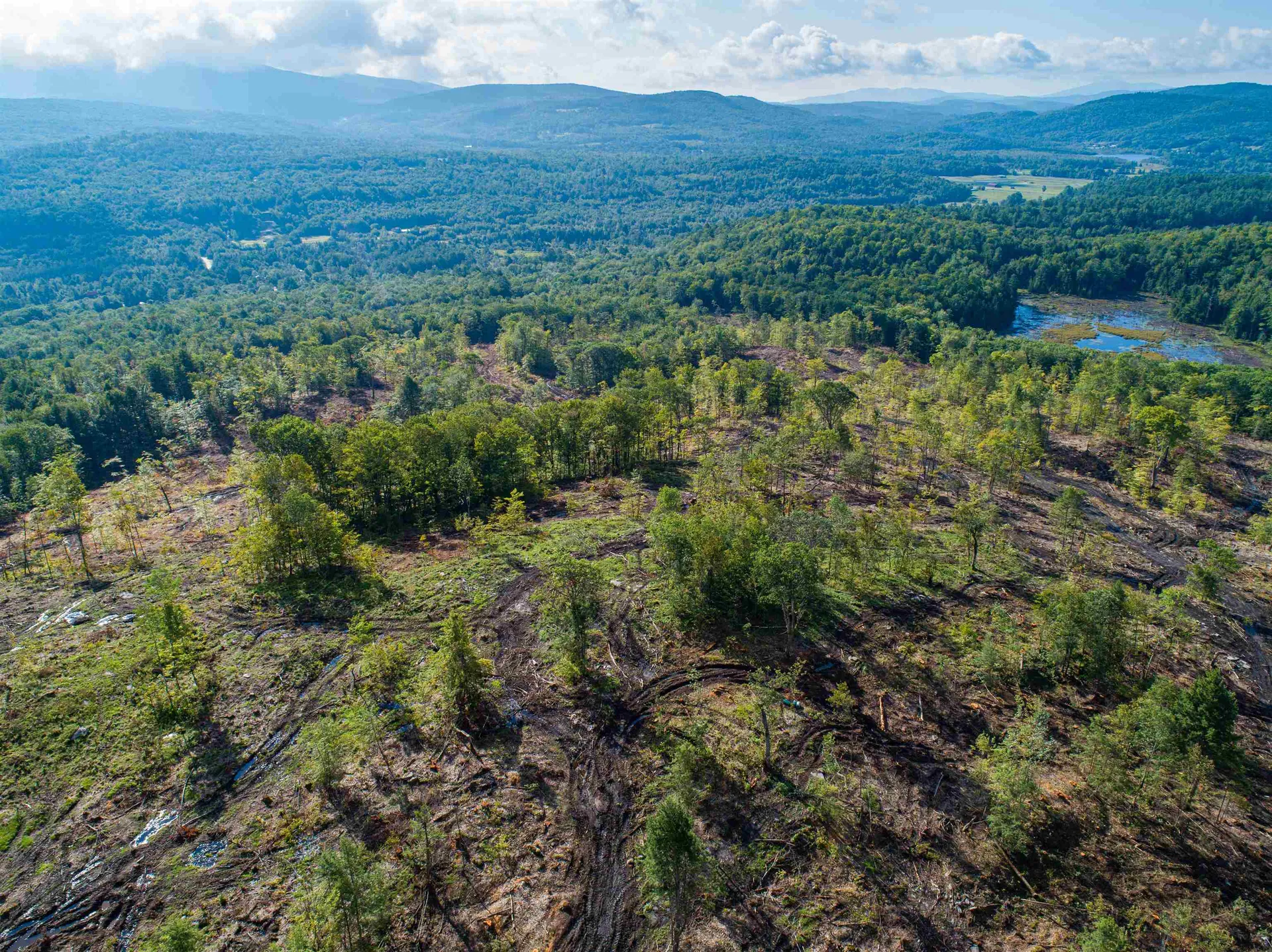 Lot 97 Fernwood Farms Road Canaan NH 03741