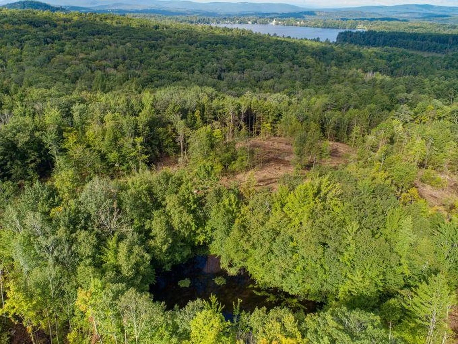 Lot 97 Fernwood Farms Road Canaan NH 03741