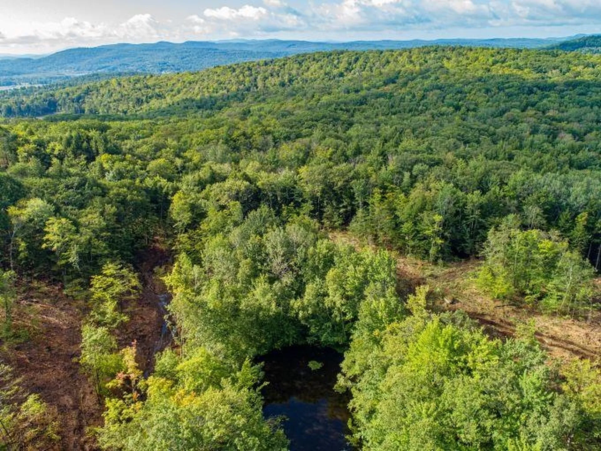 Lot 97 Fernwood Farms Road Canaan NH 03741