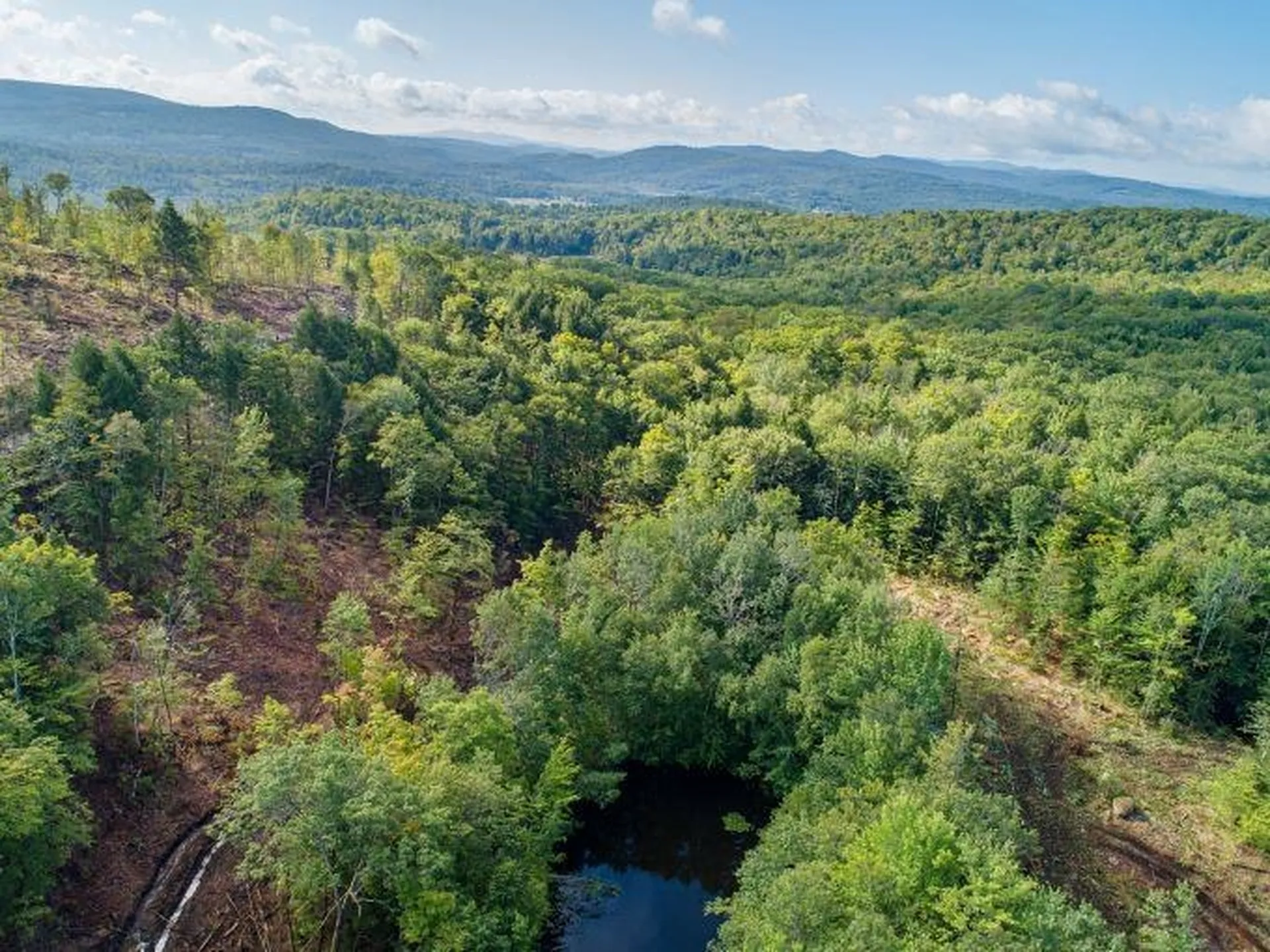 Lot 97 Fernwood Farms Road Canaan NH 03741
