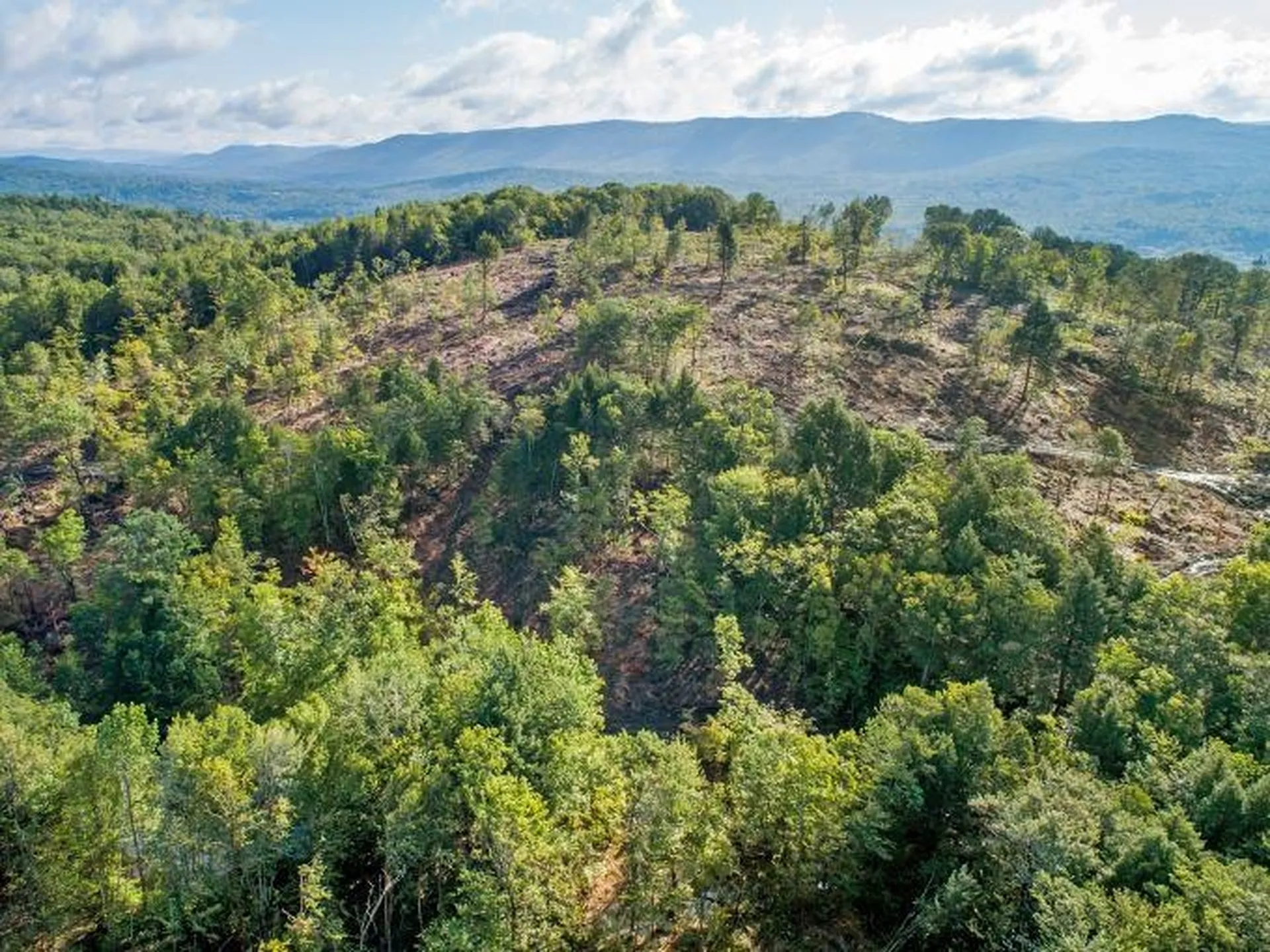 Lot 97 Fernwood Farms Road Canaan NH 03741