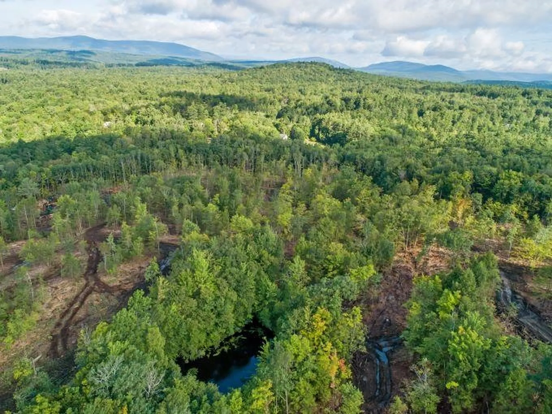 Lot 97 Fernwood Farms Road Canaan NH 03741