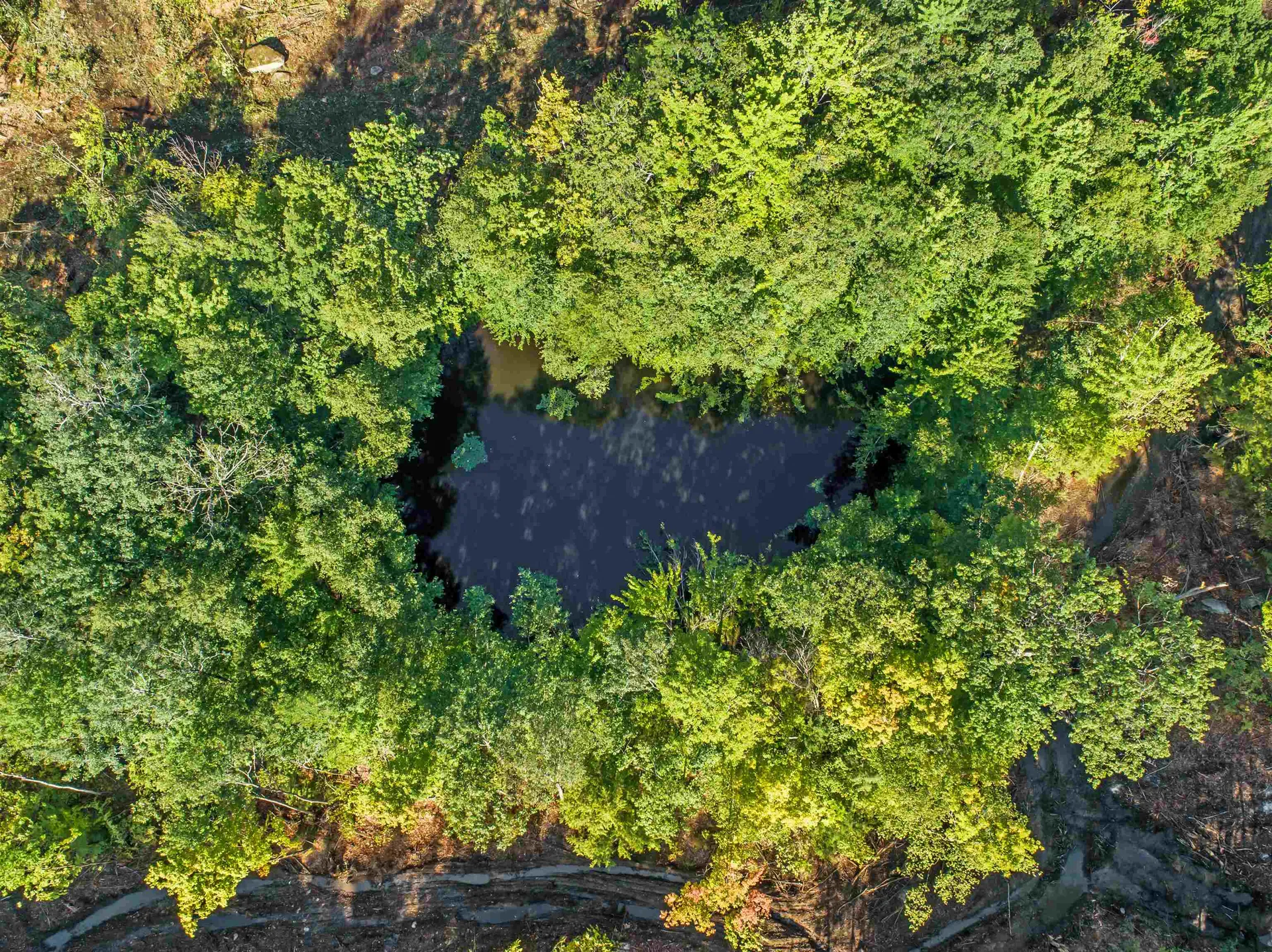 Lot 97 Fernwood Farms Road Canaan NH 03741