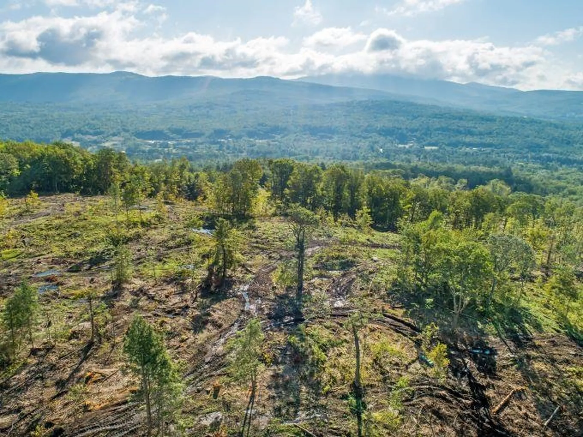 Lot 97 Fernwood Farms Road Canaan NH 03741