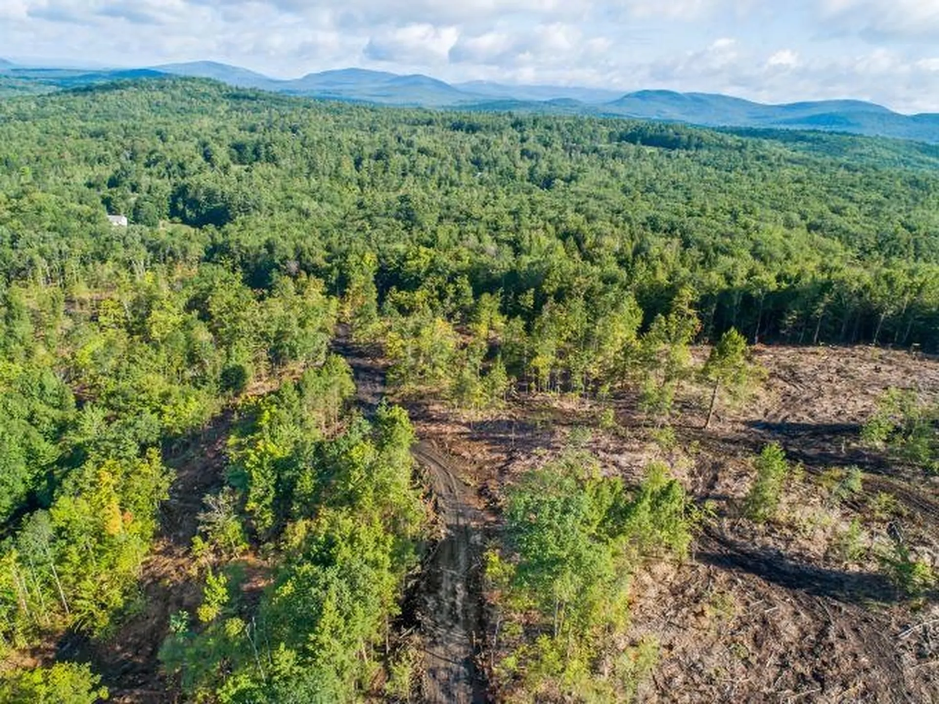 Lot 97 Fernwood Farms Road Canaan NH 03741