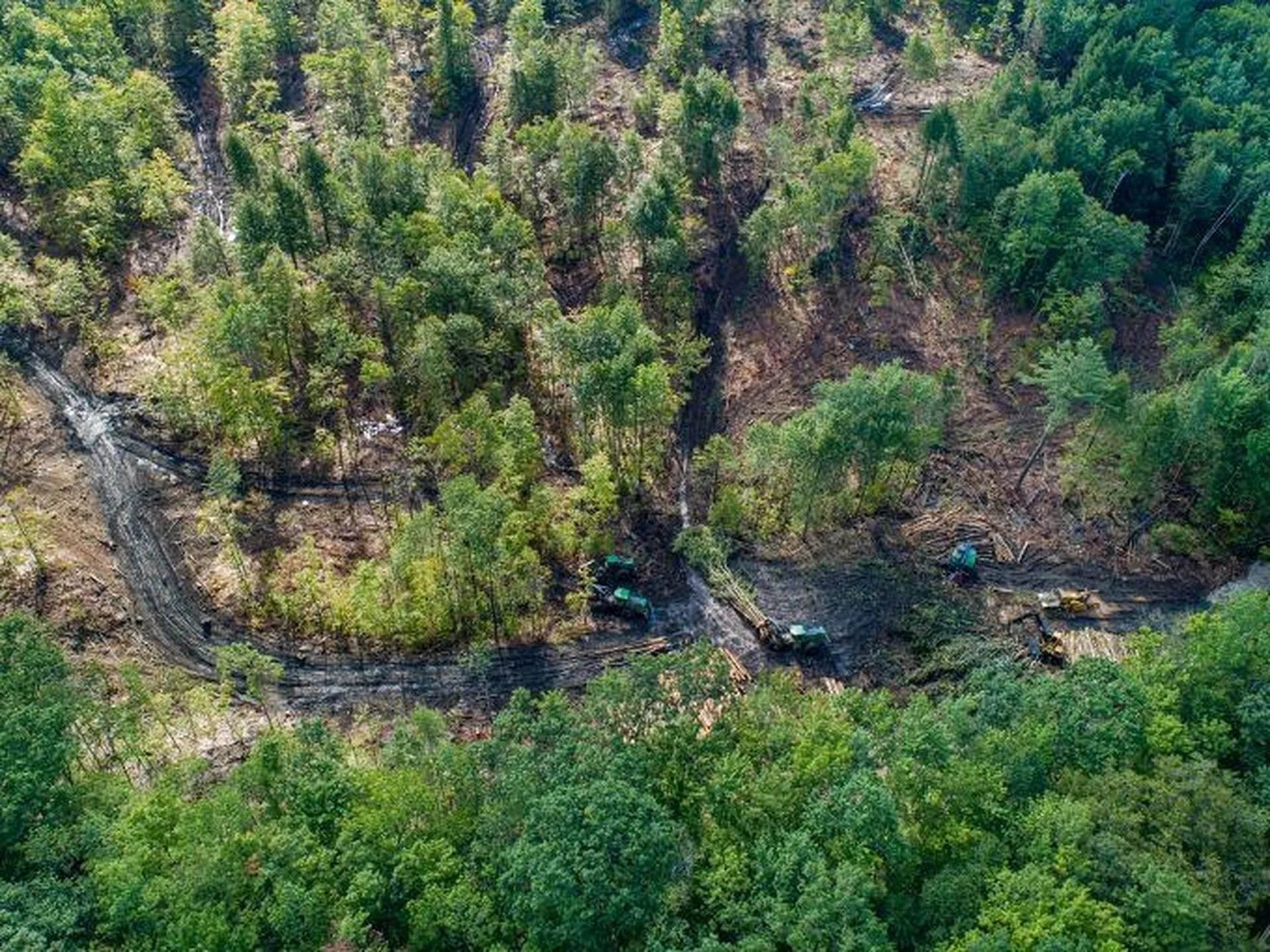 Lot 97 Fernwood Farms Road Canaan NH 03741