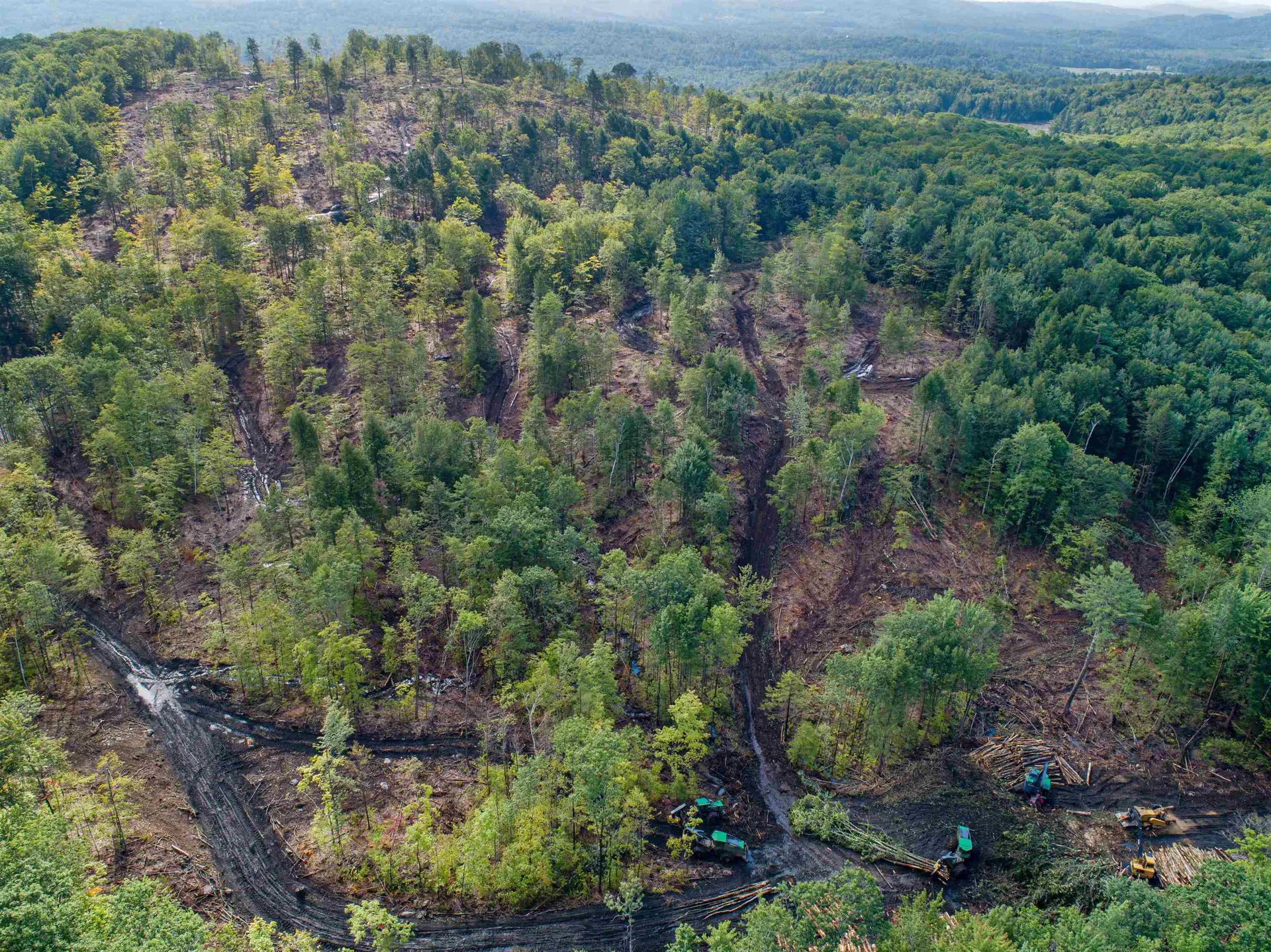 Lot 97 Fernwood Farms Road Canaan NH 03741