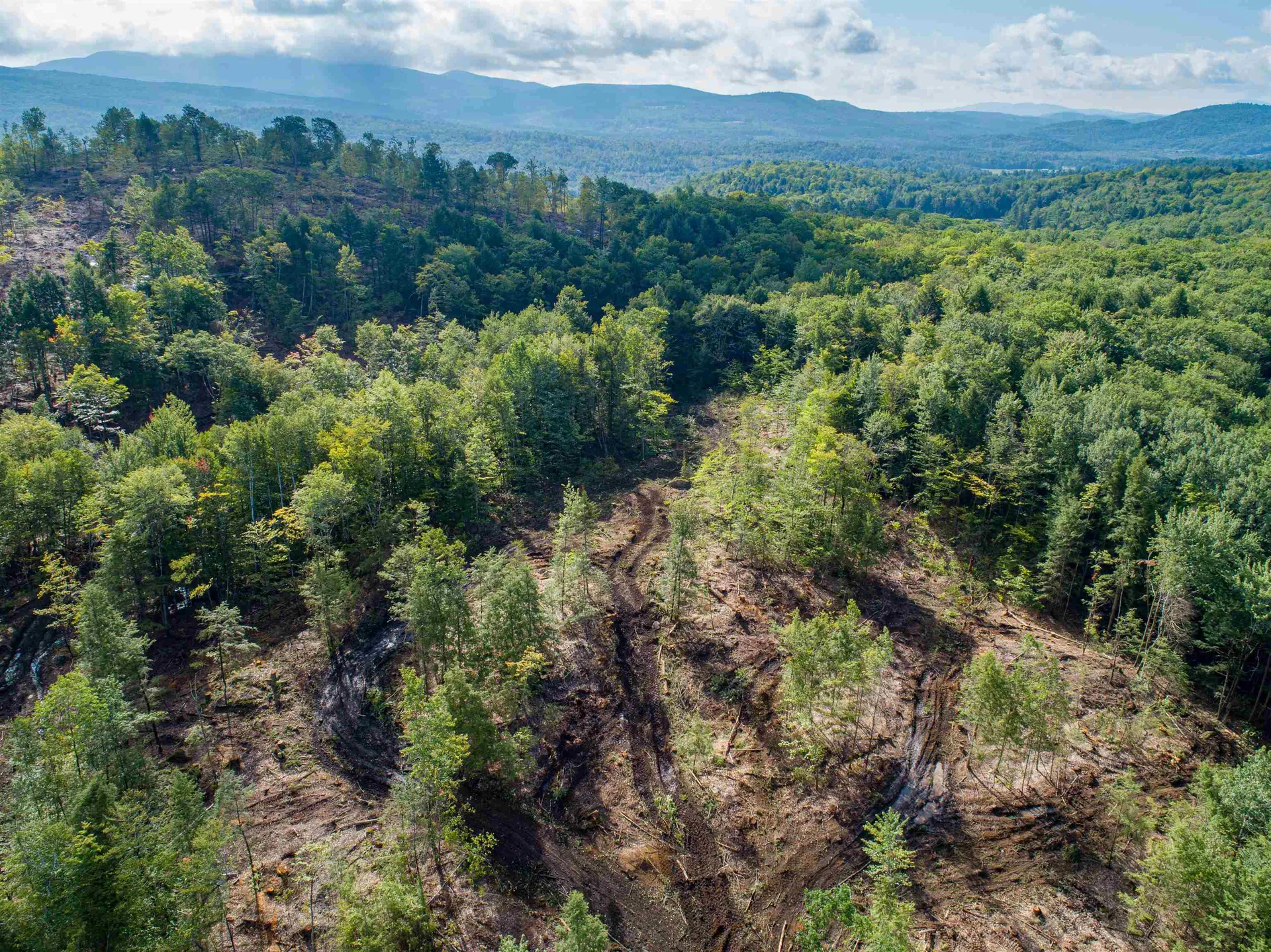 Lot 97 Fernwood Farms Road Canaan NH 03741