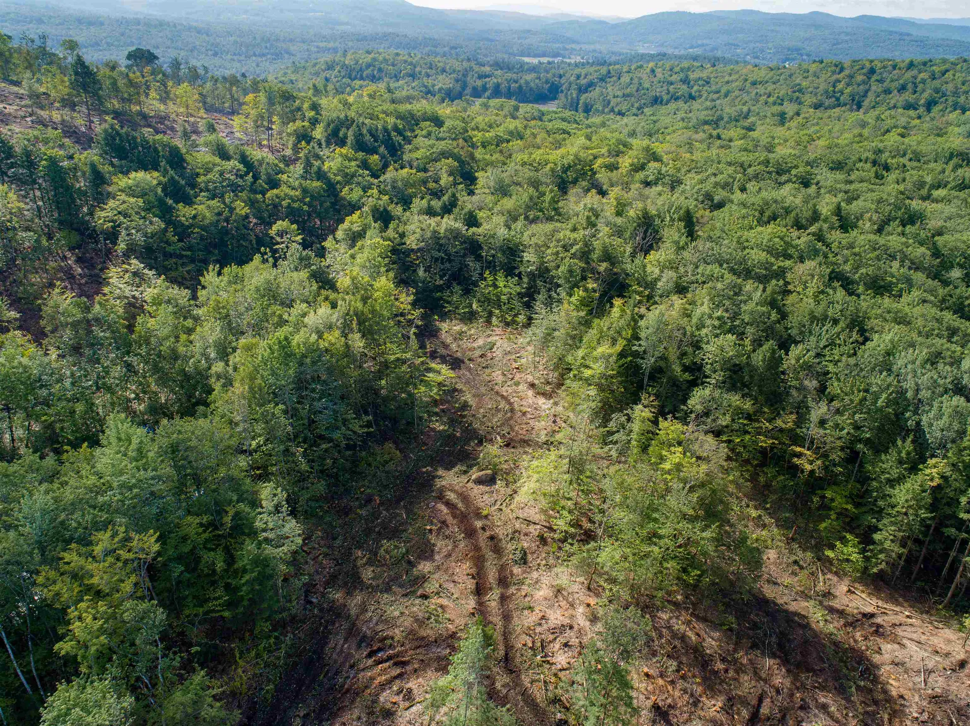 Lot 97 Fernwood Farms Road Canaan NH 03741