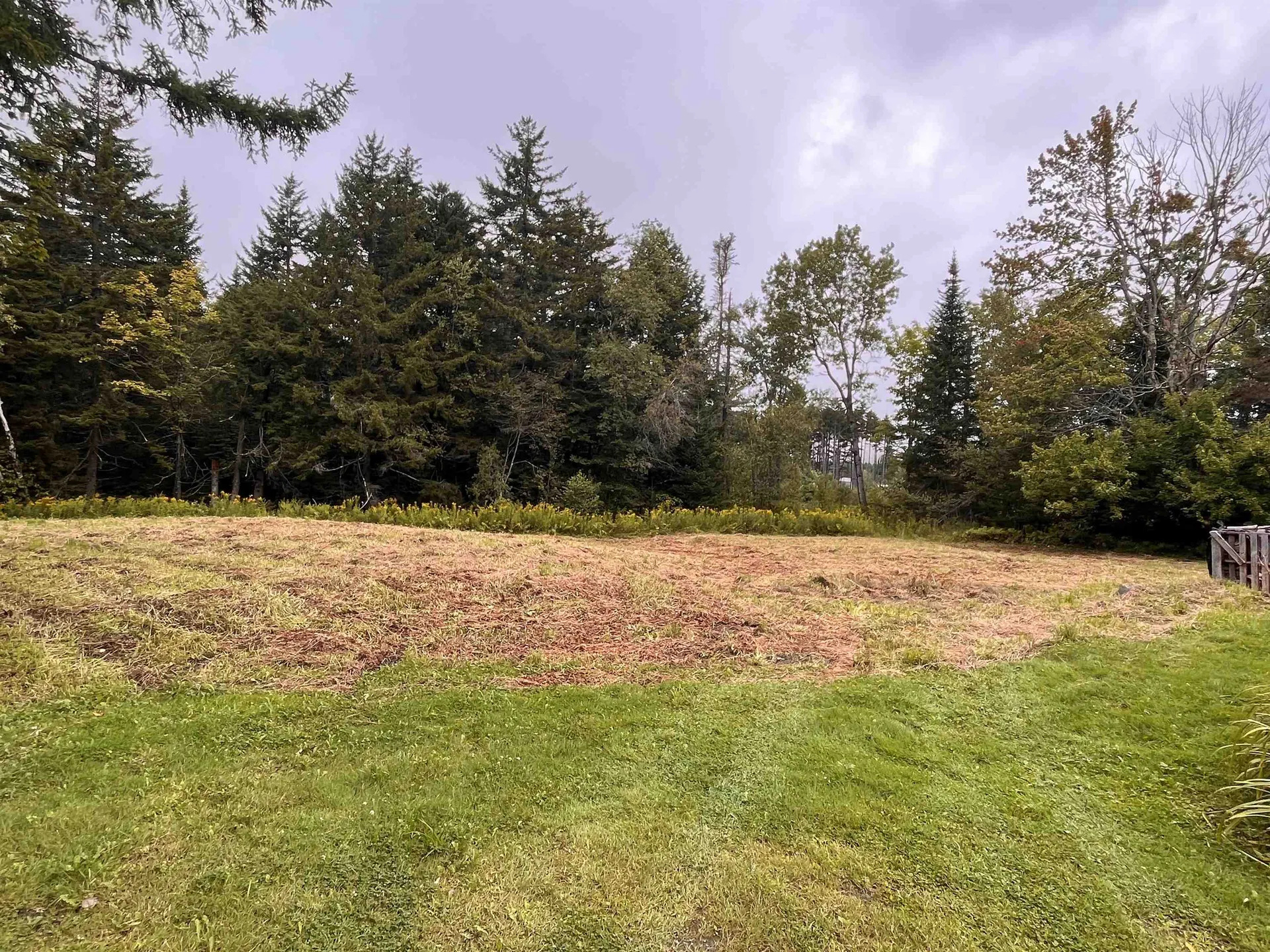 1174 Senor Road Warren VT 05674