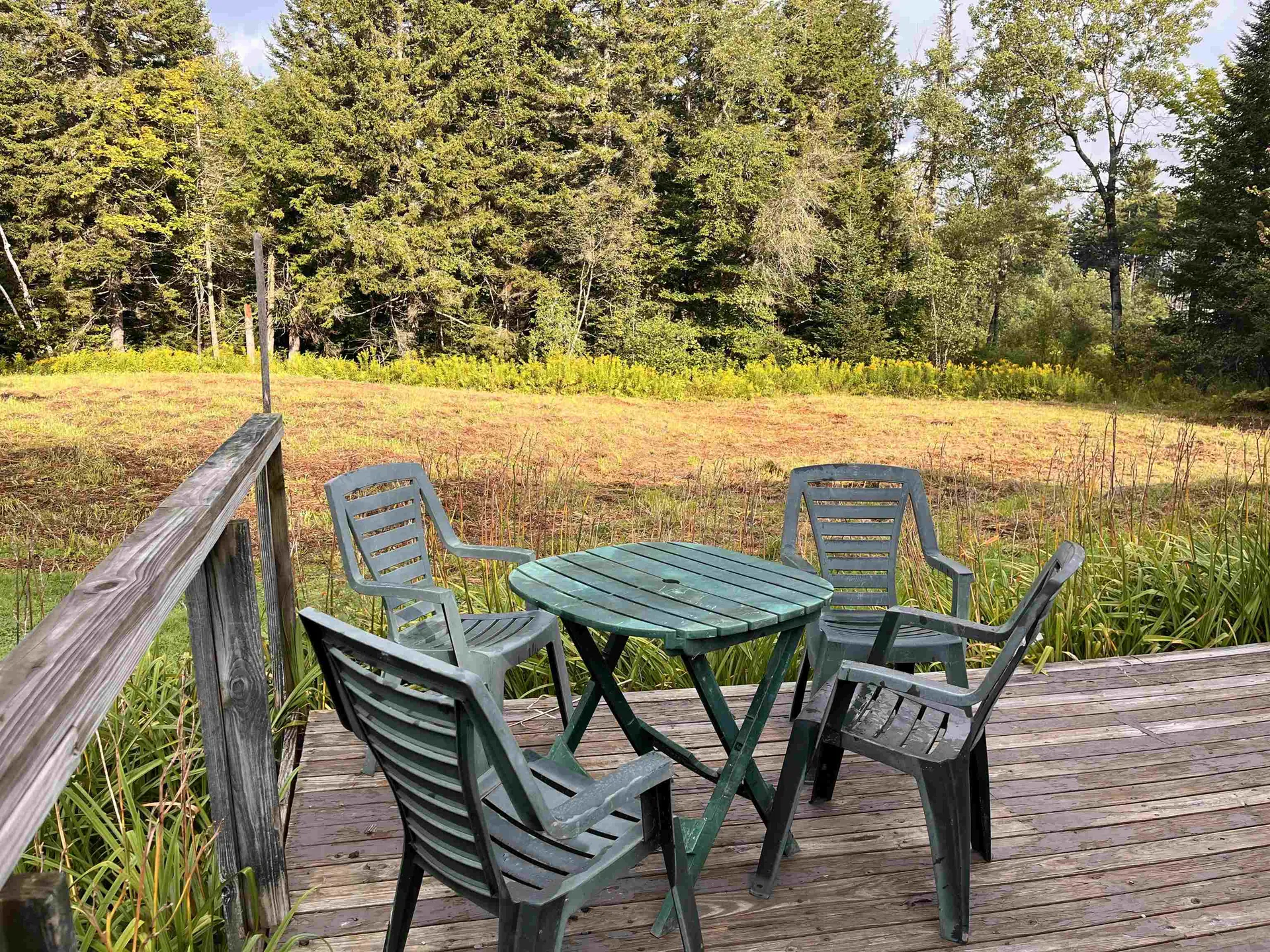 1174 Senor Road Warren VT 05674