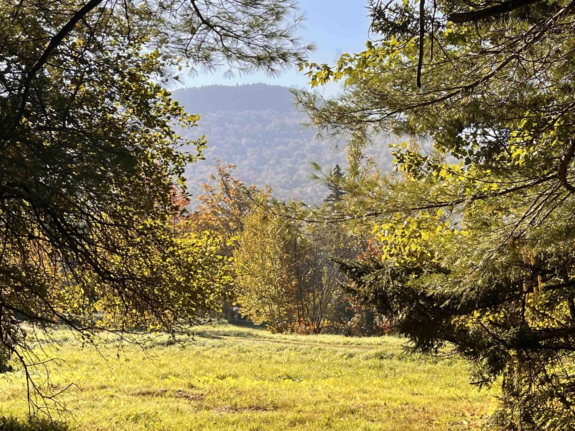 1174 Senor Road Warren VT 05674