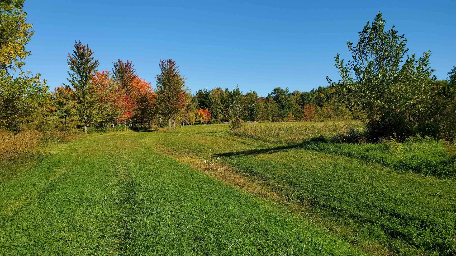 251 Tamarak Road Charlotte VT 05445
