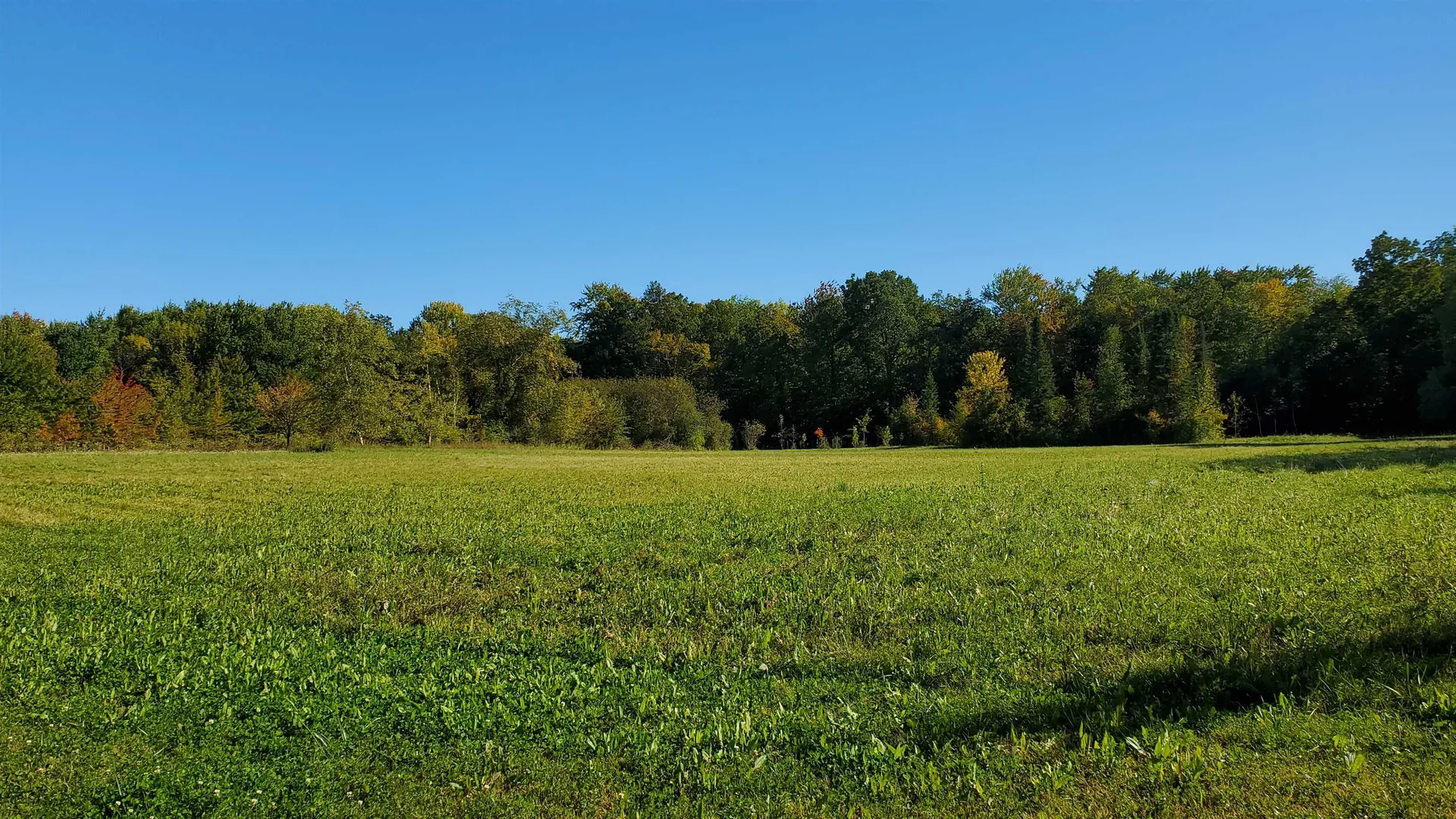 251 Tamarak Road Charlotte VT 05445