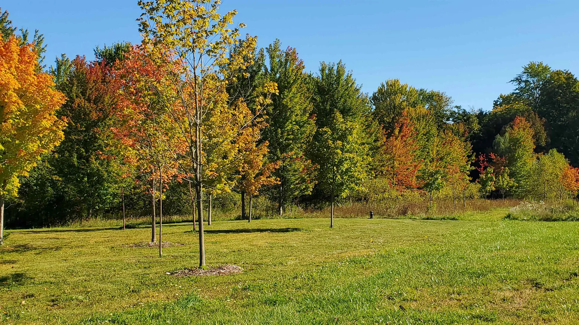 251 Tamarak Road Charlotte VT 05445