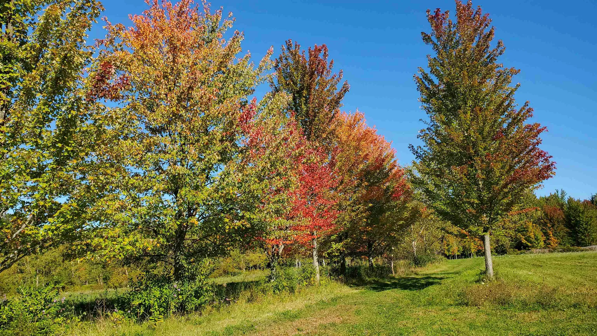 251 Tamarak Road Charlotte VT 05445
