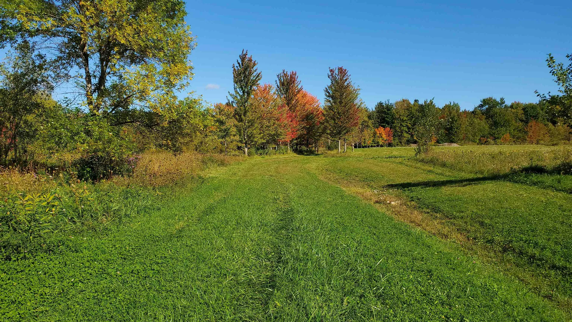 251 Tamarak Road Charlotte VT 05445