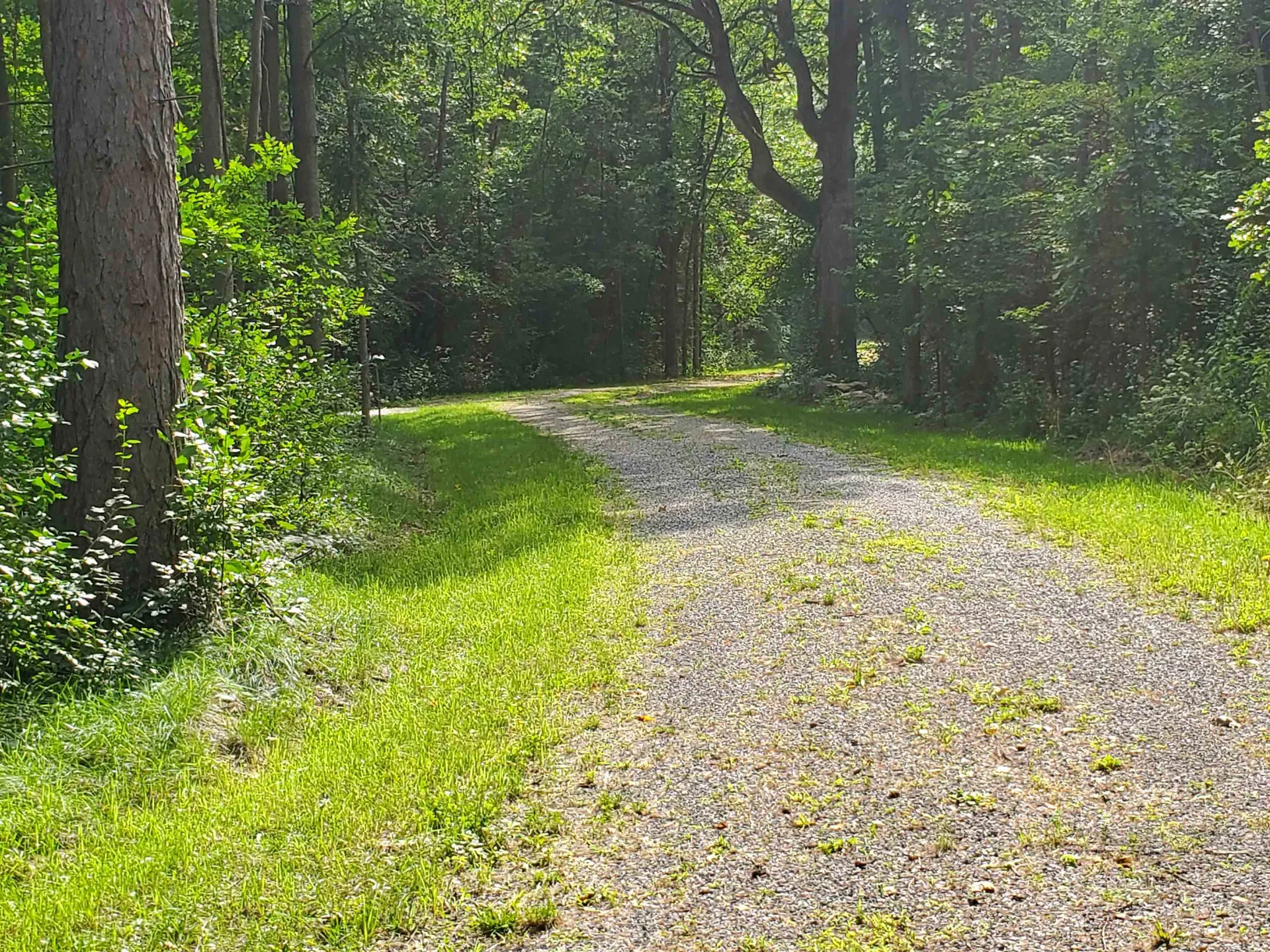 251 Tamarak Road Charlotte VT 05445