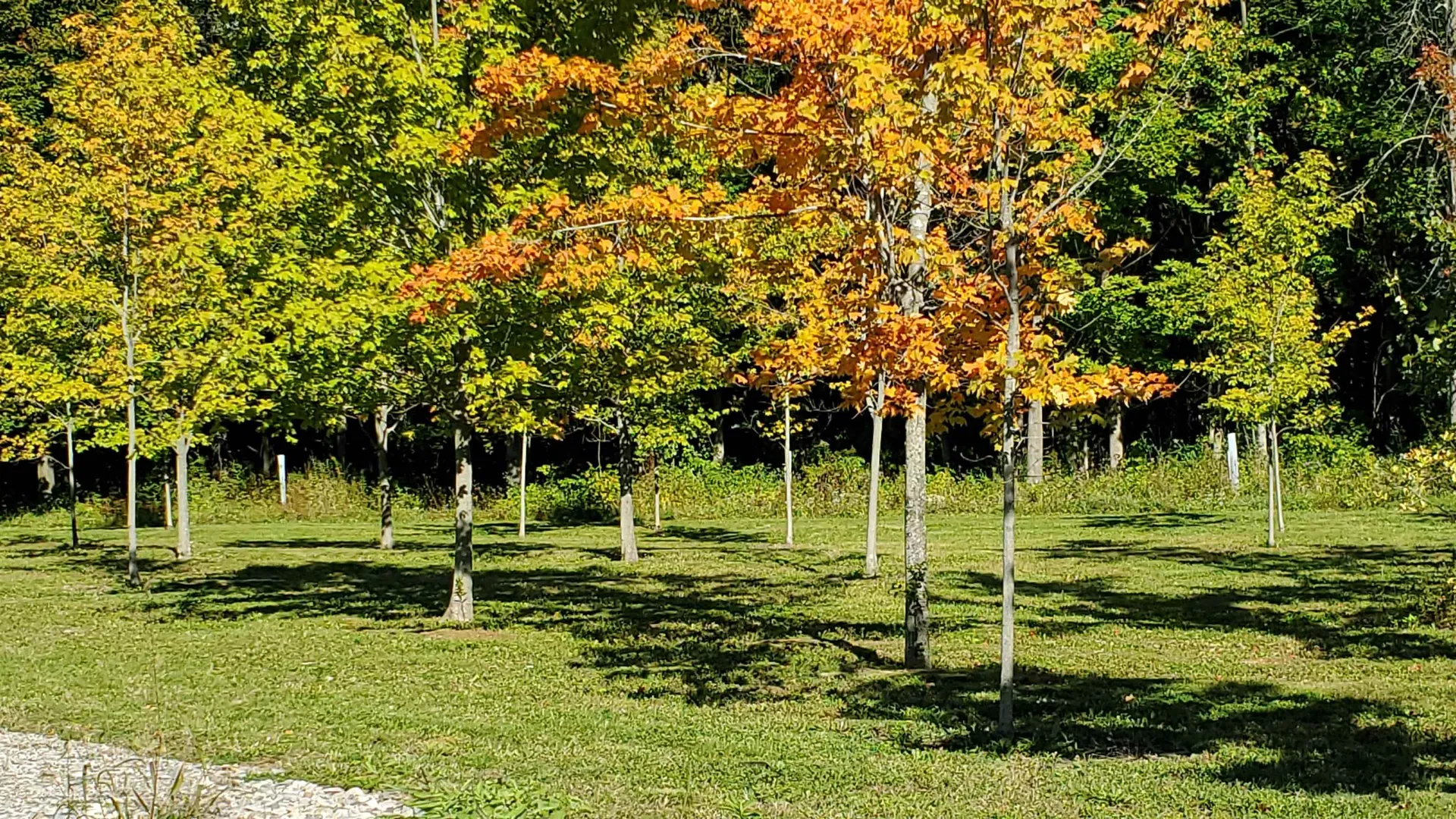 251 Tamarak Road Charlotte VT 05445