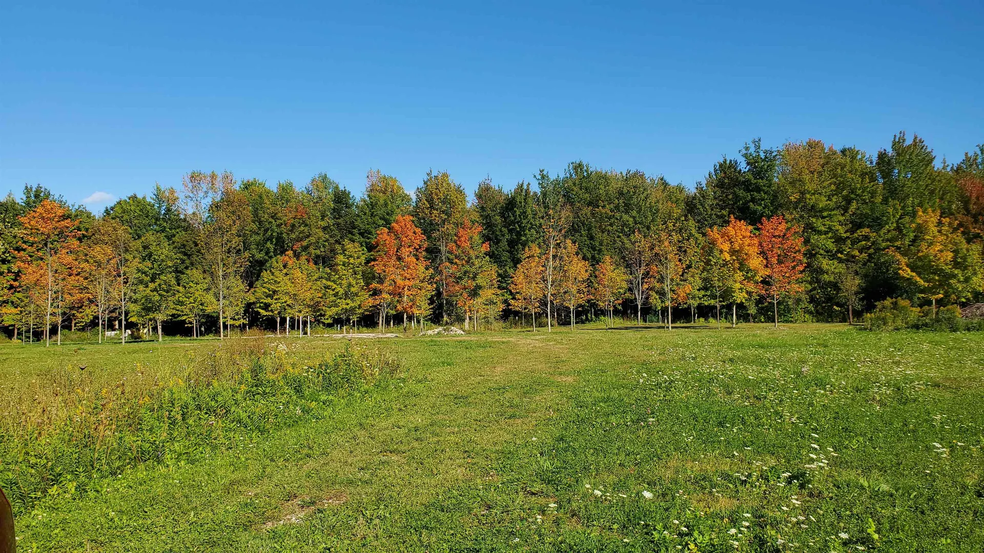251 Tamarak Road Charlotte VT 05445