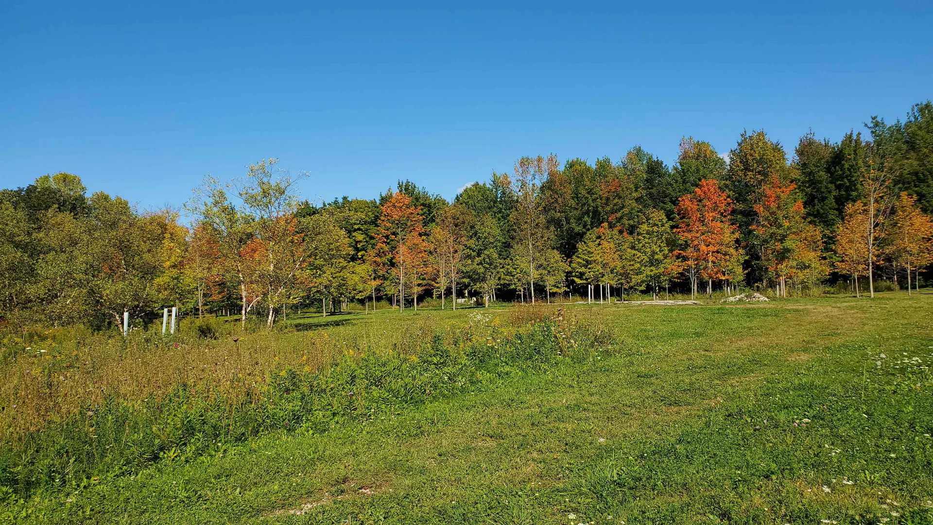 251 Tamarak Road Charlotte VT 05445