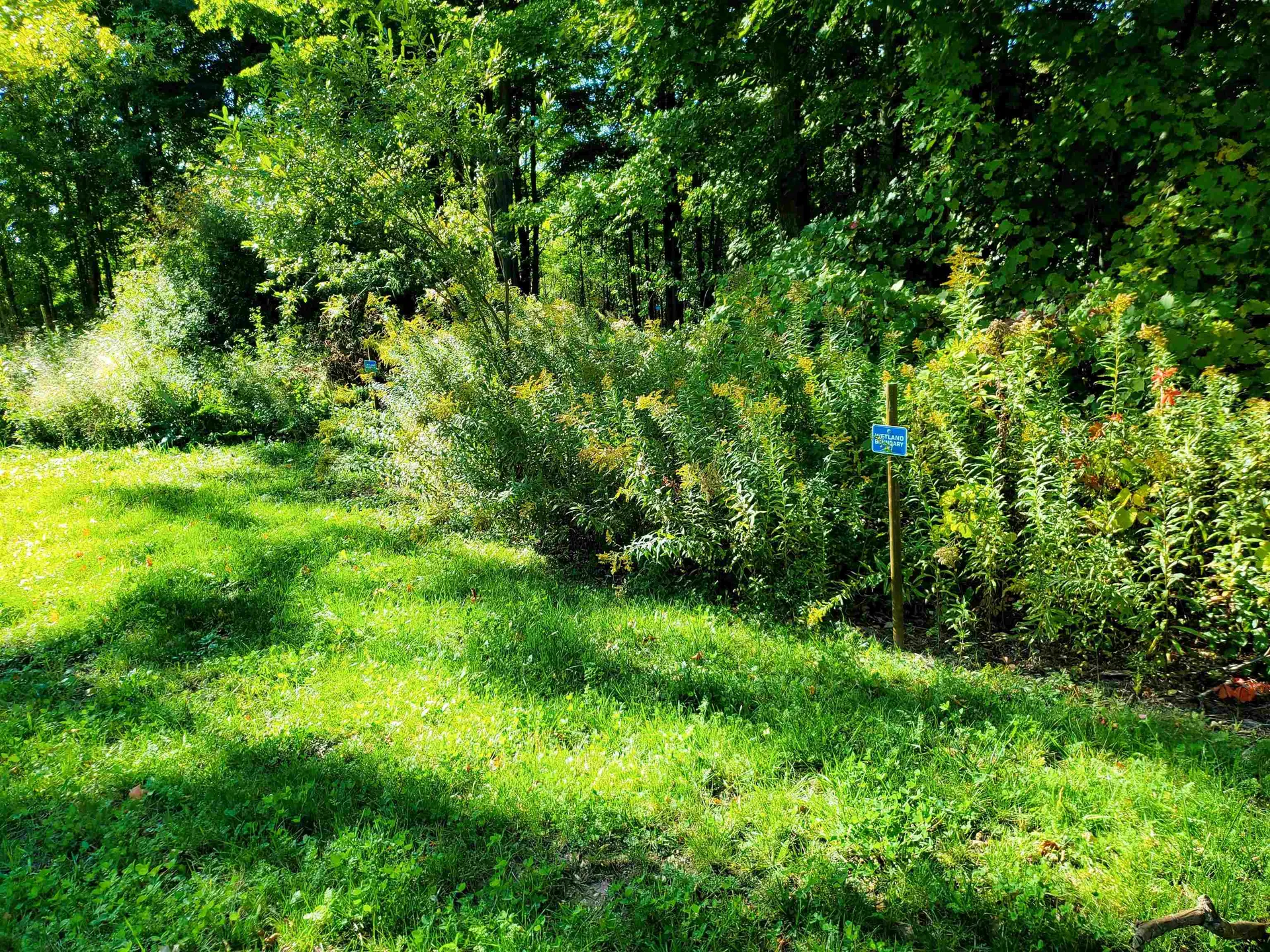 251 Tamarak Road Charlotte VT 05445