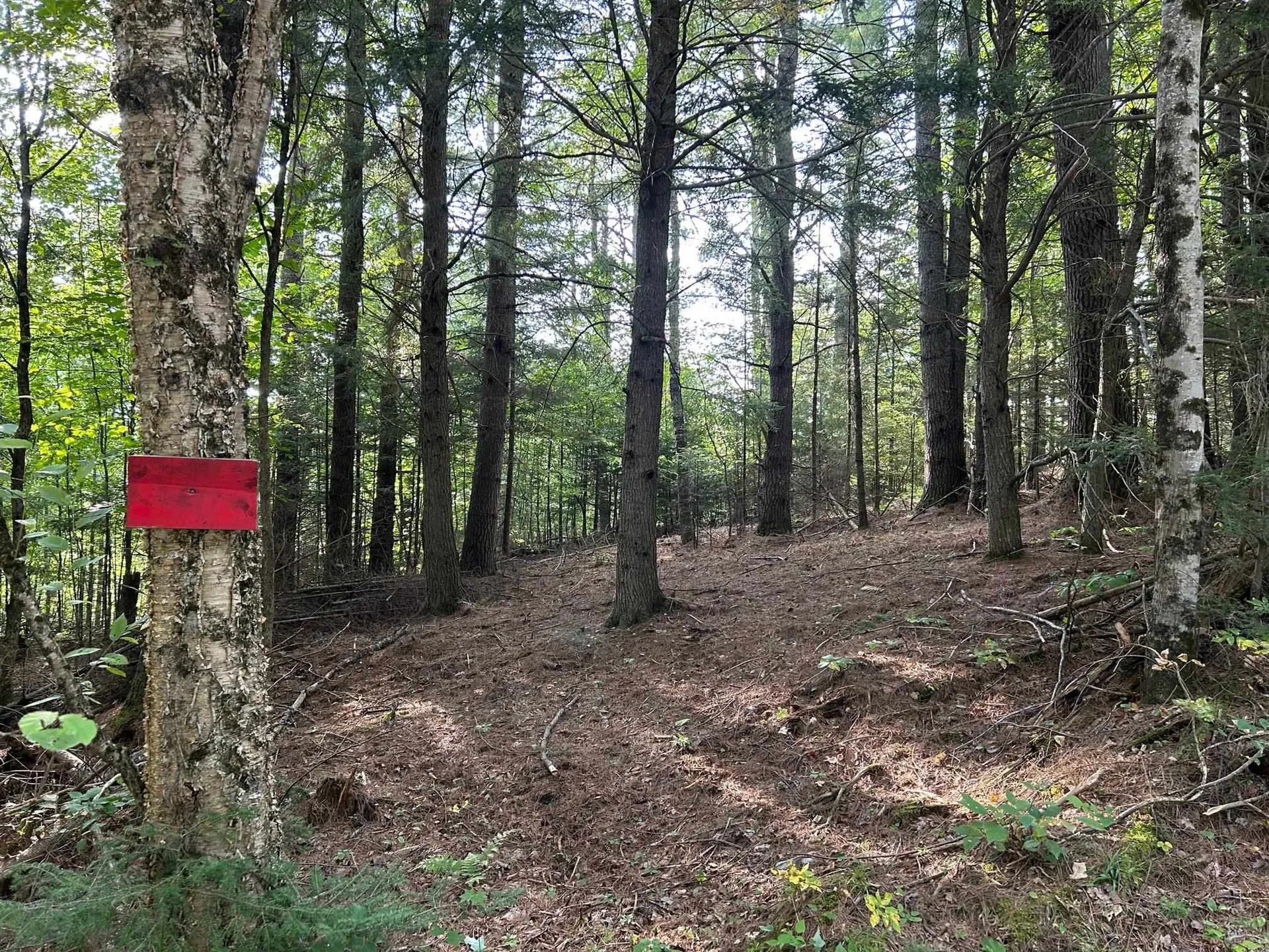 Swiftwater Circle Haverhill NH 03785