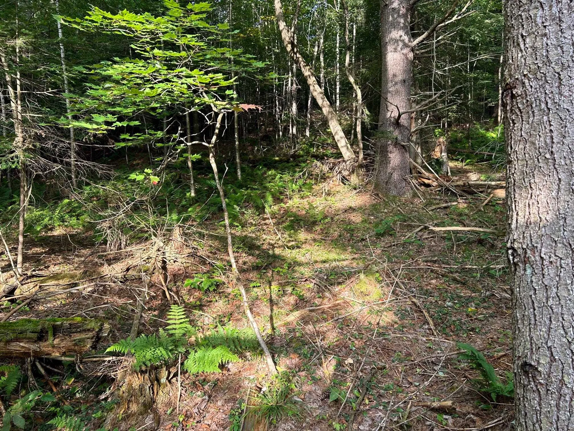 Swiftwater Circle Haverhill NH 03785