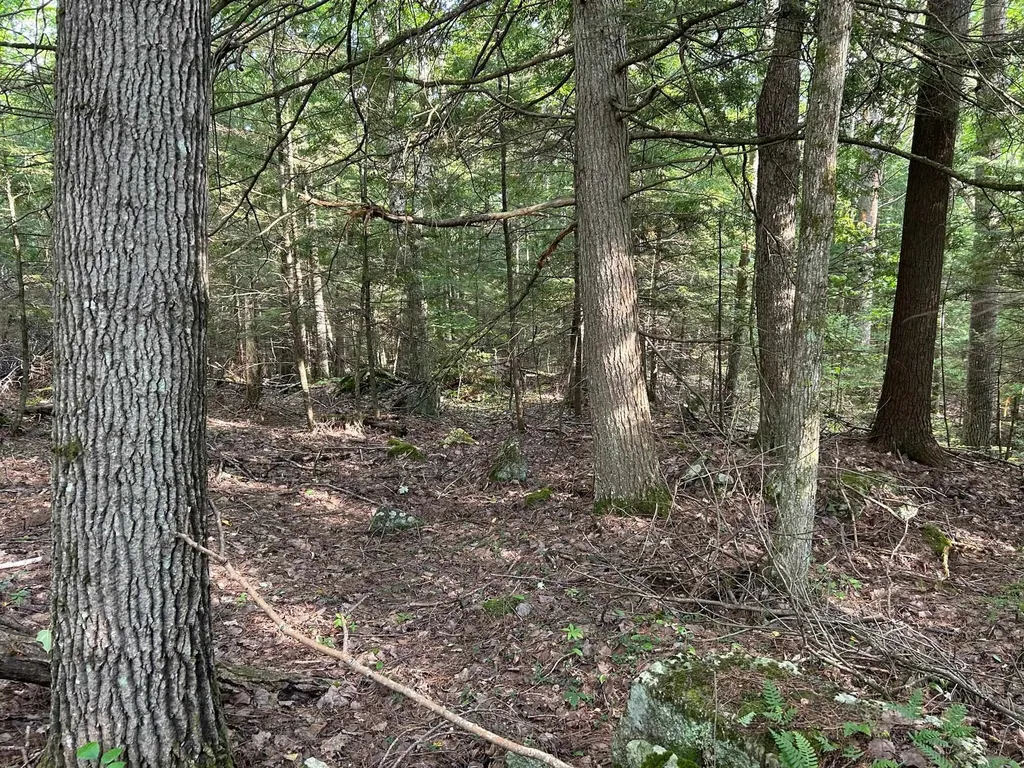 Wildwood Road Haverhill NH 03785