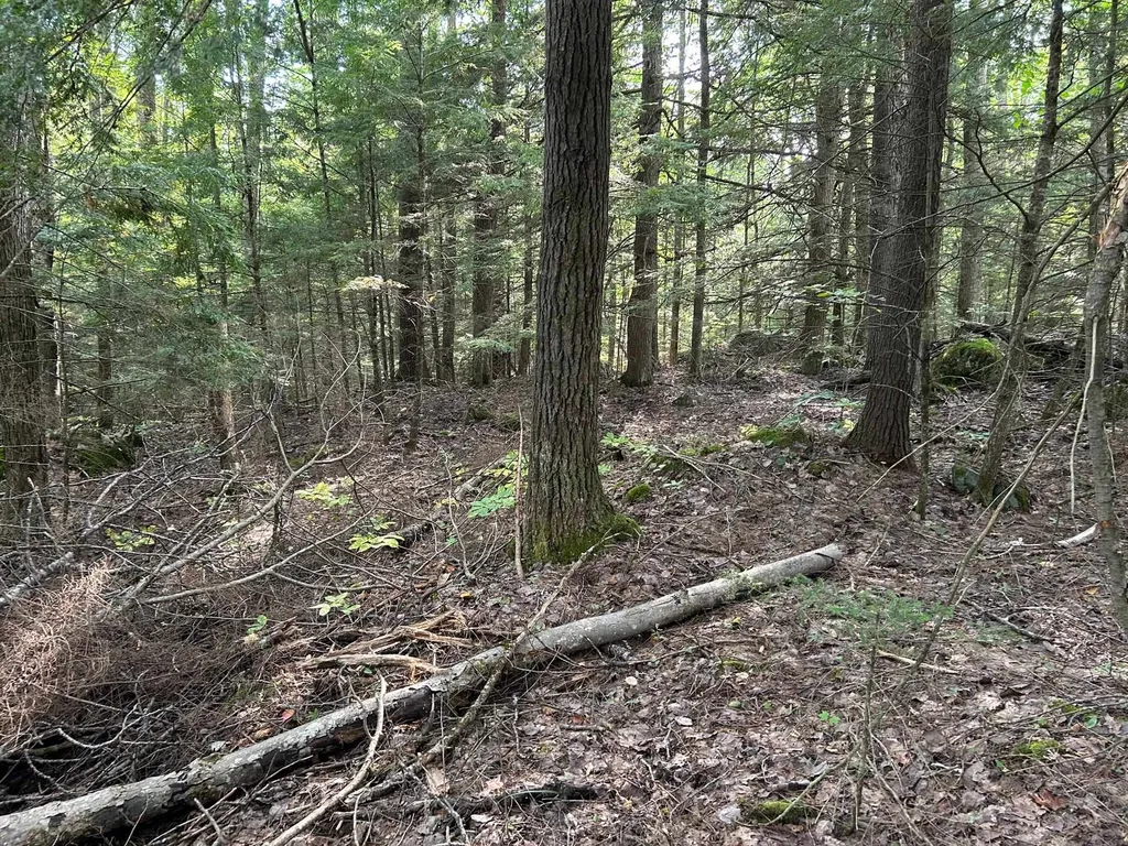 Wildwood Road Haverhill NH 03785