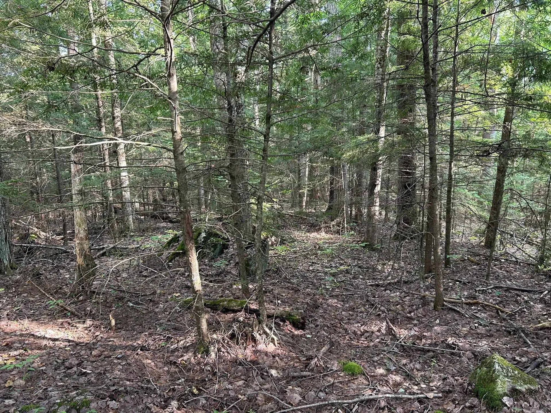 Wildwood Road Haverhill NH 03785