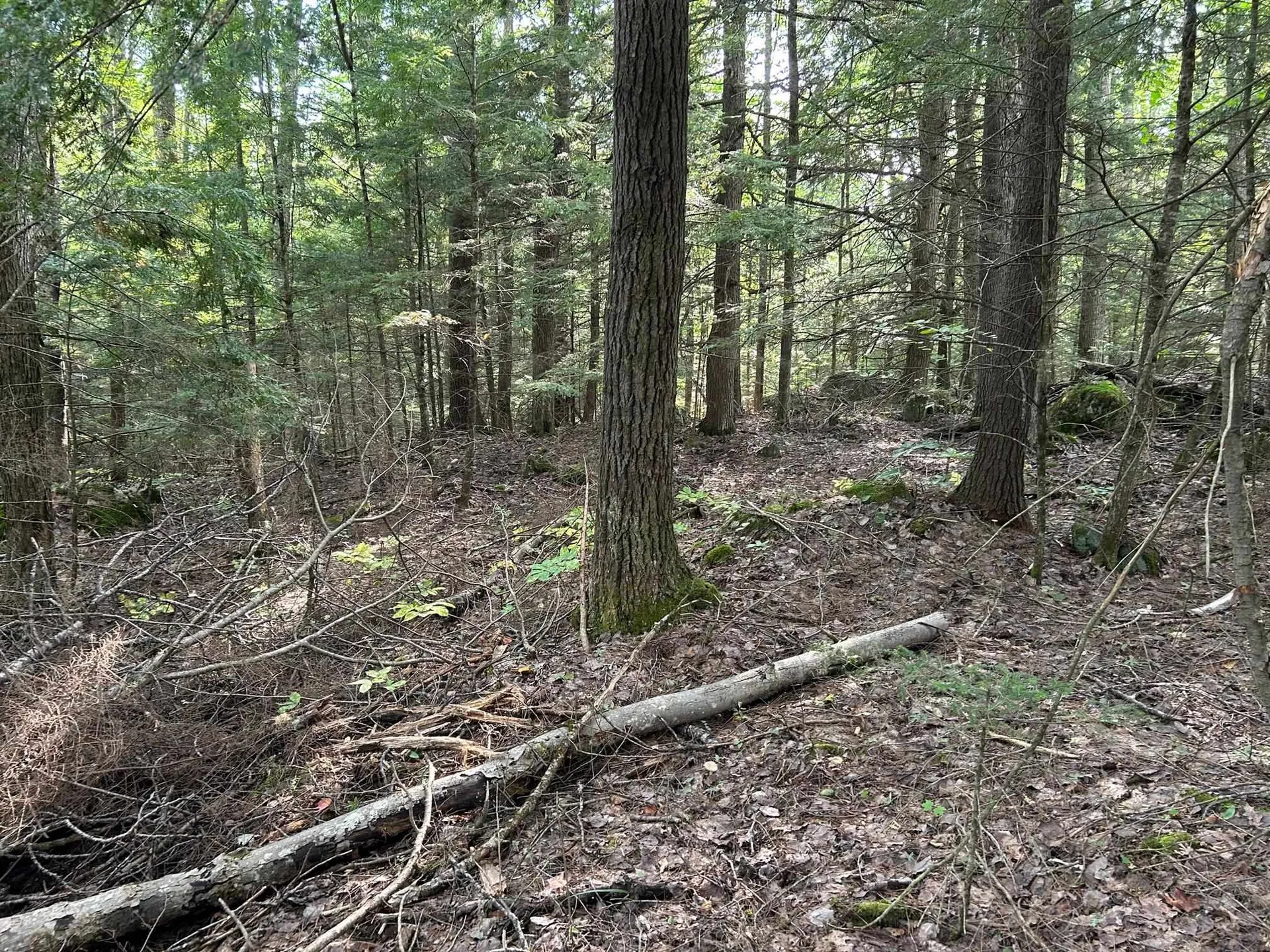 Wildwood Road Haverhill NH 03785