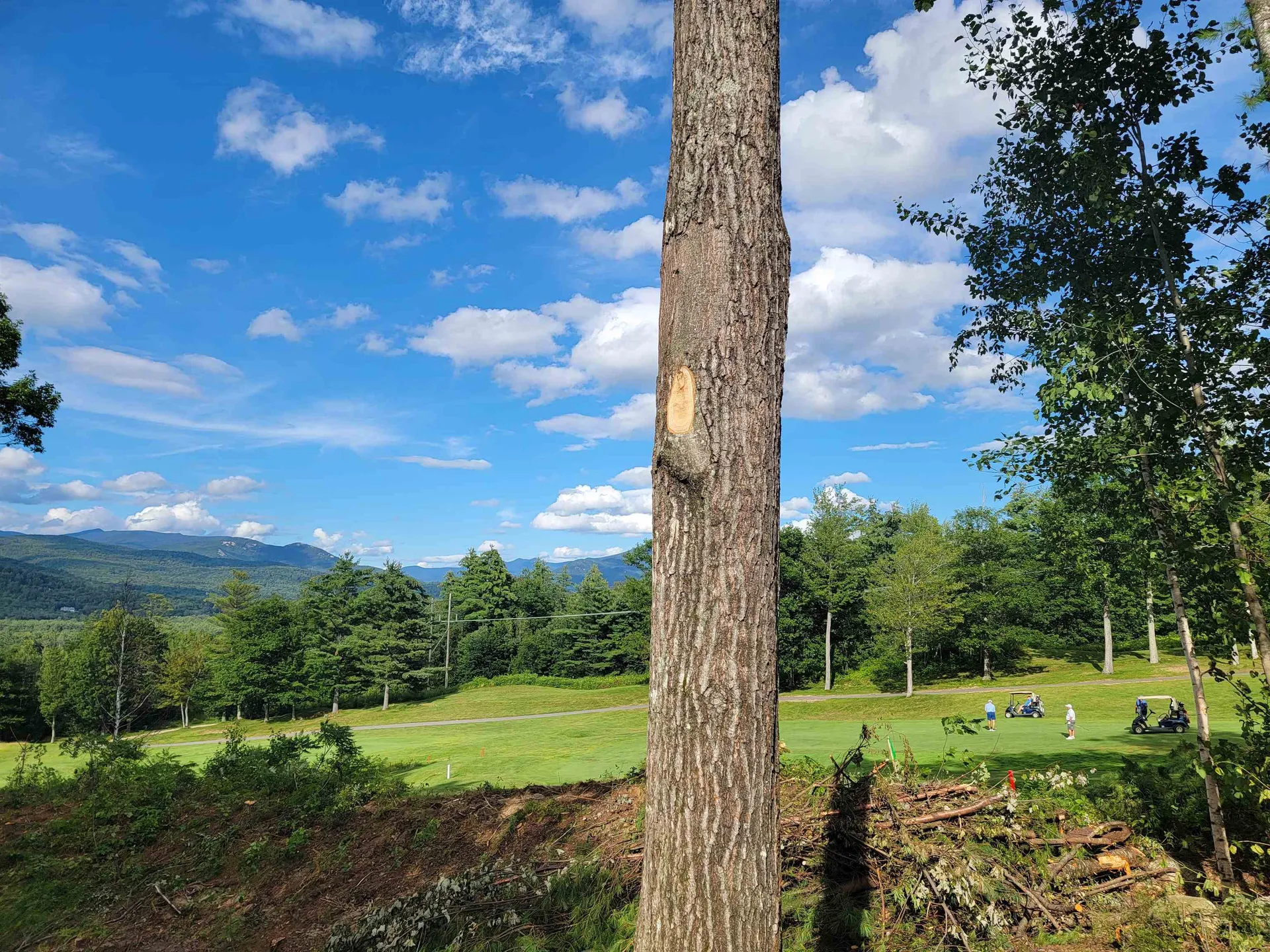 8 Rising Ridge Road Campton NH 03223