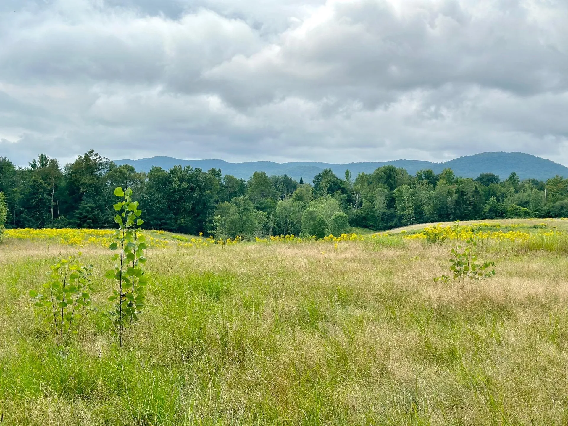 125 Old Brandon Road Brandon VT 05733