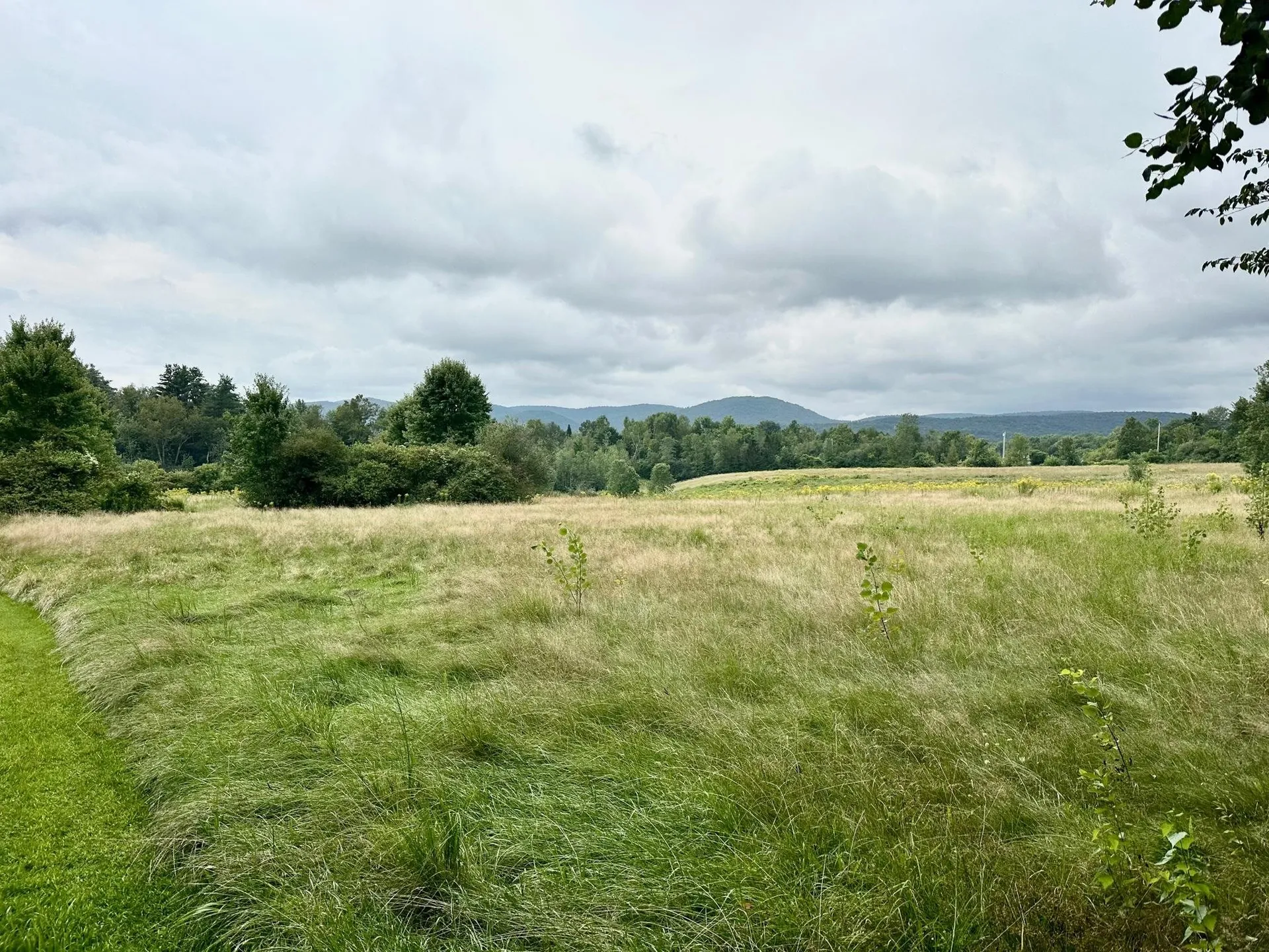 125 Old Brandon Road Brandon VT 05733