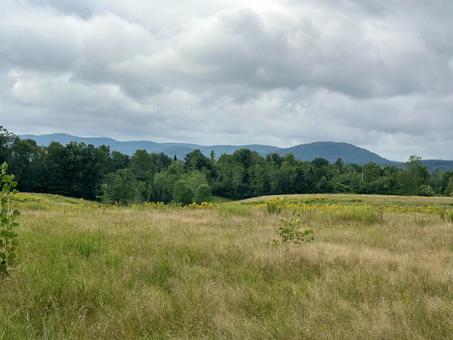 125 Old Brandon Road Brandon VT 05733