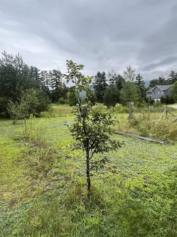 74 Wild Apple Lane Cambridge VT 05464