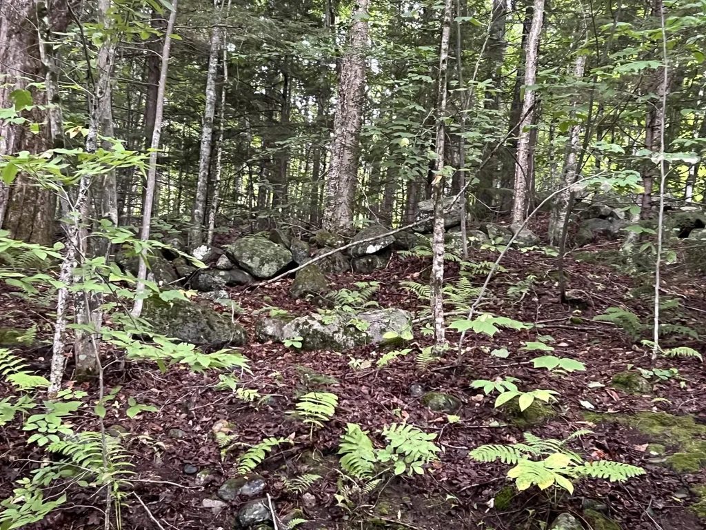 Ellsworth Hill Road Campton NH 03223