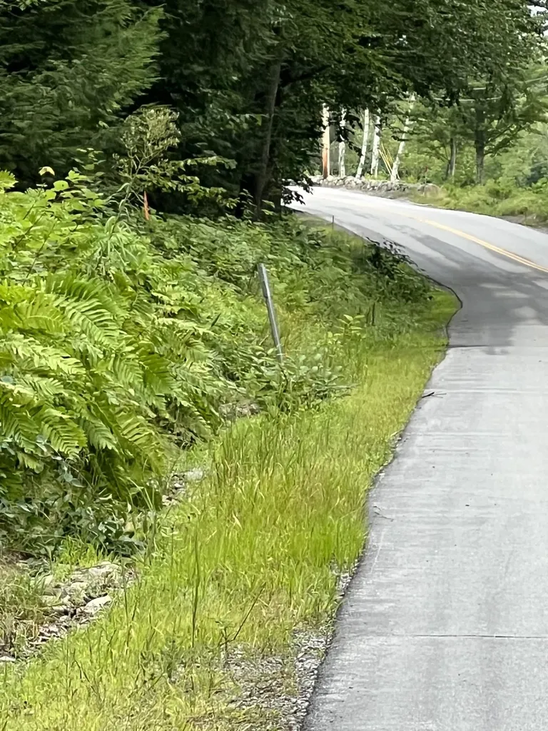 Ellsworth Hill Road Campton NH 03223